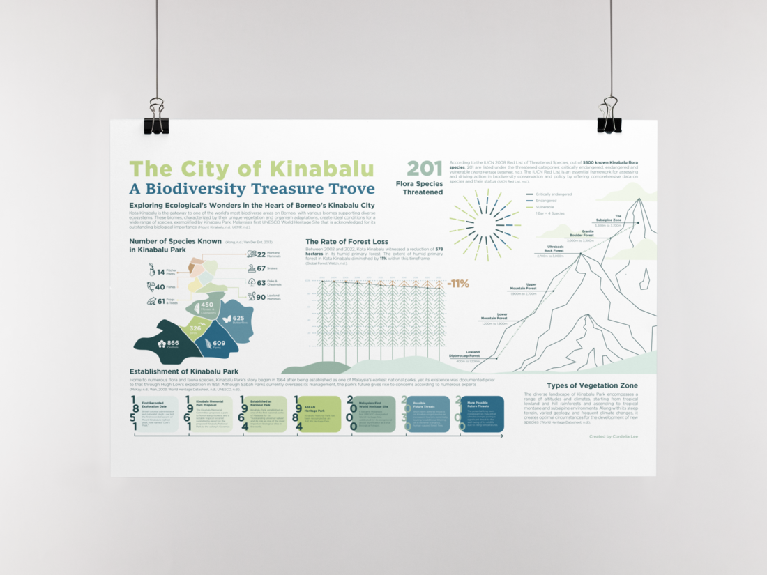City of Kinabalu: Data Visualization