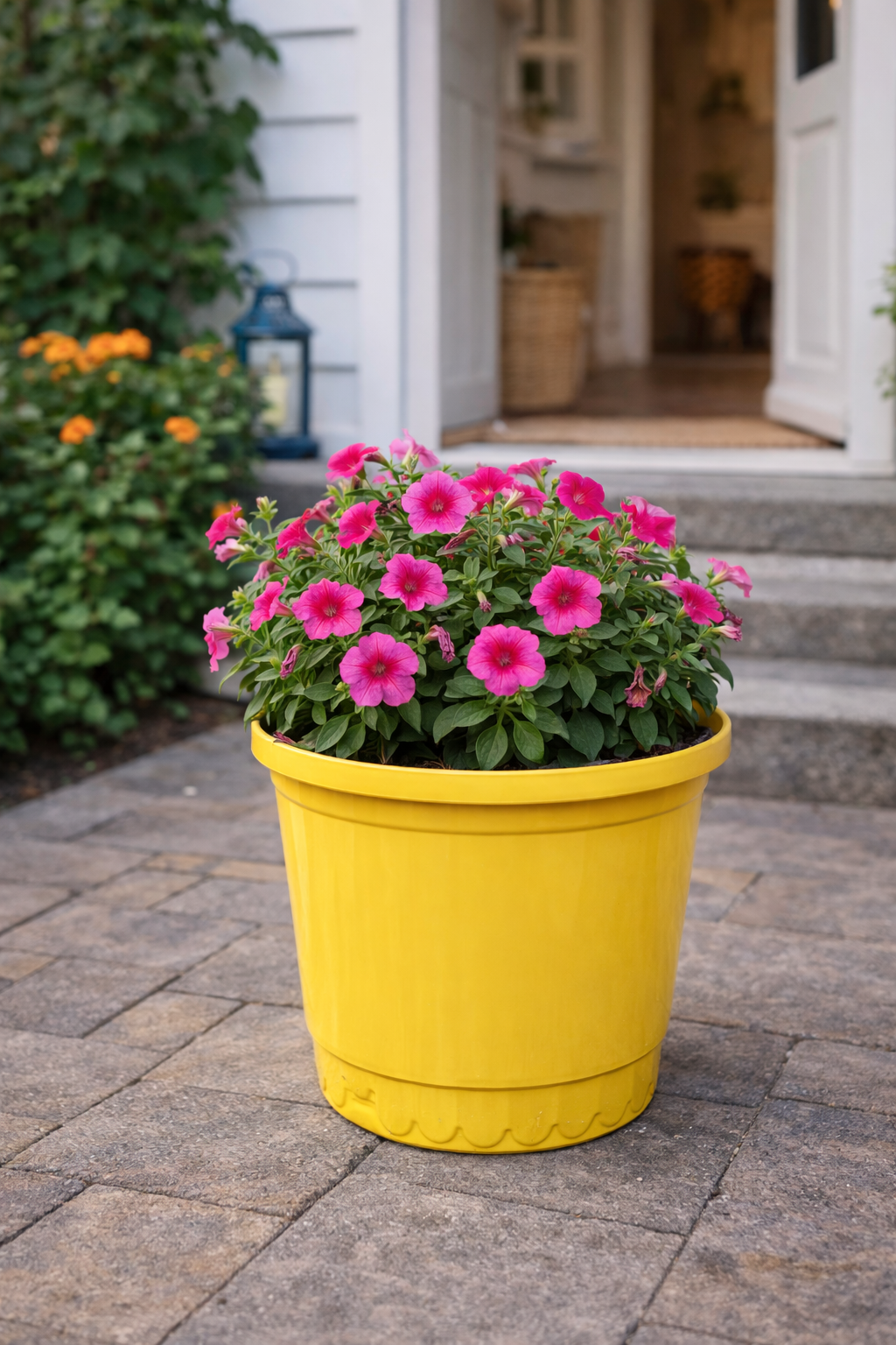 Round Bucket Planter view 2