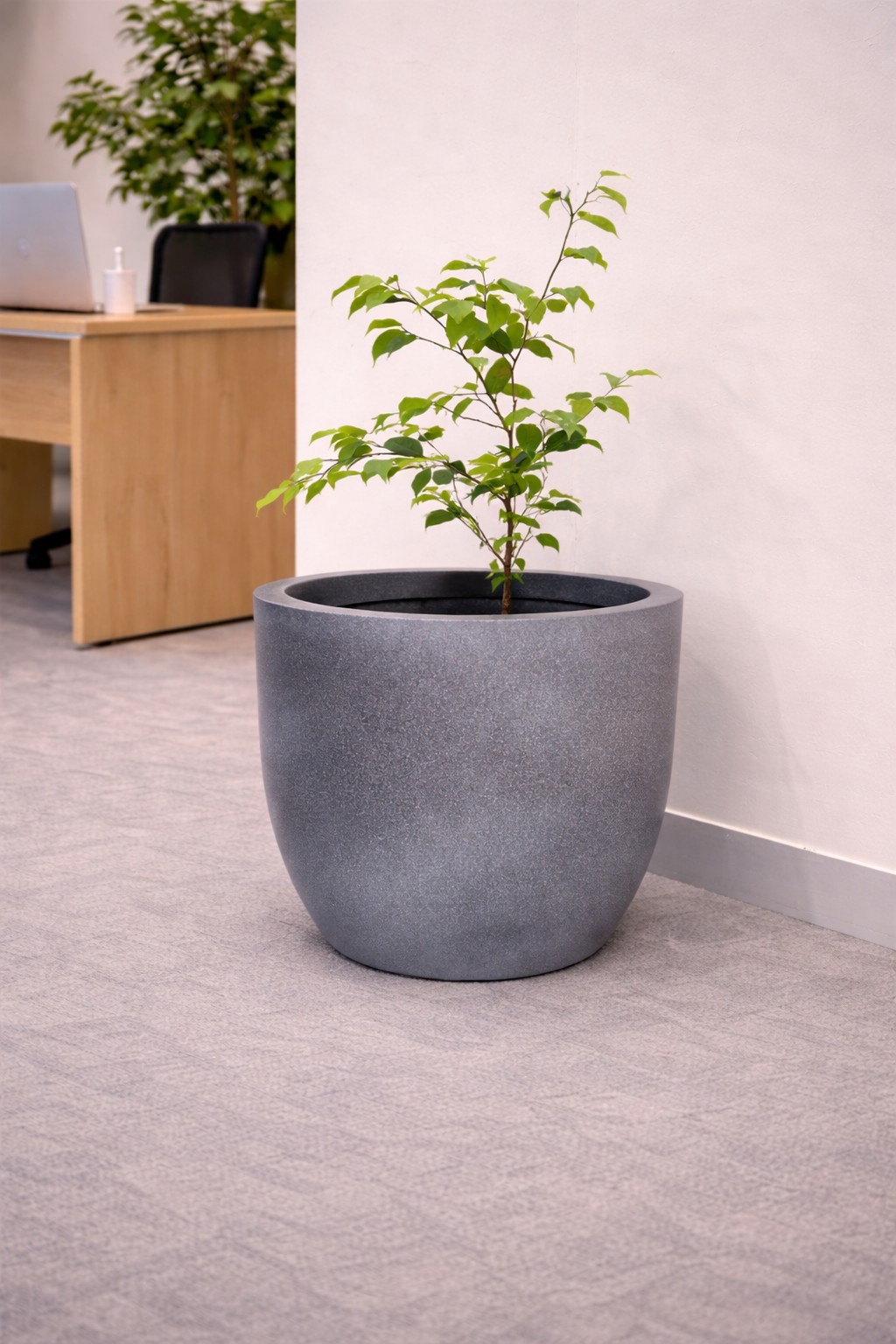 Oval Cylindrical Planter view 2