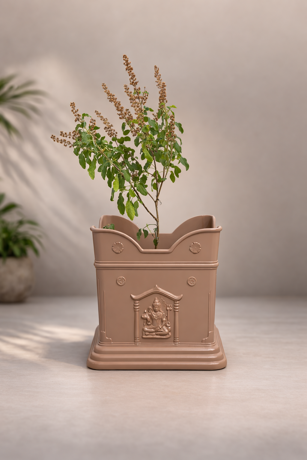 Tulasi Box Planter view 2