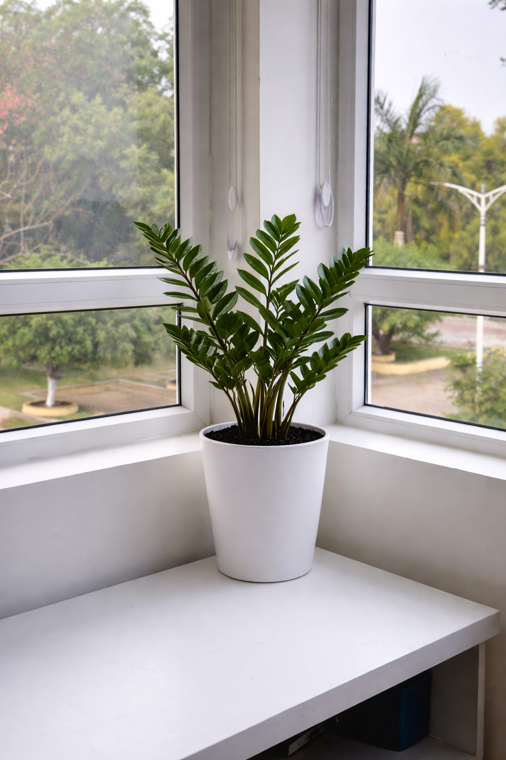 Mini Planter
