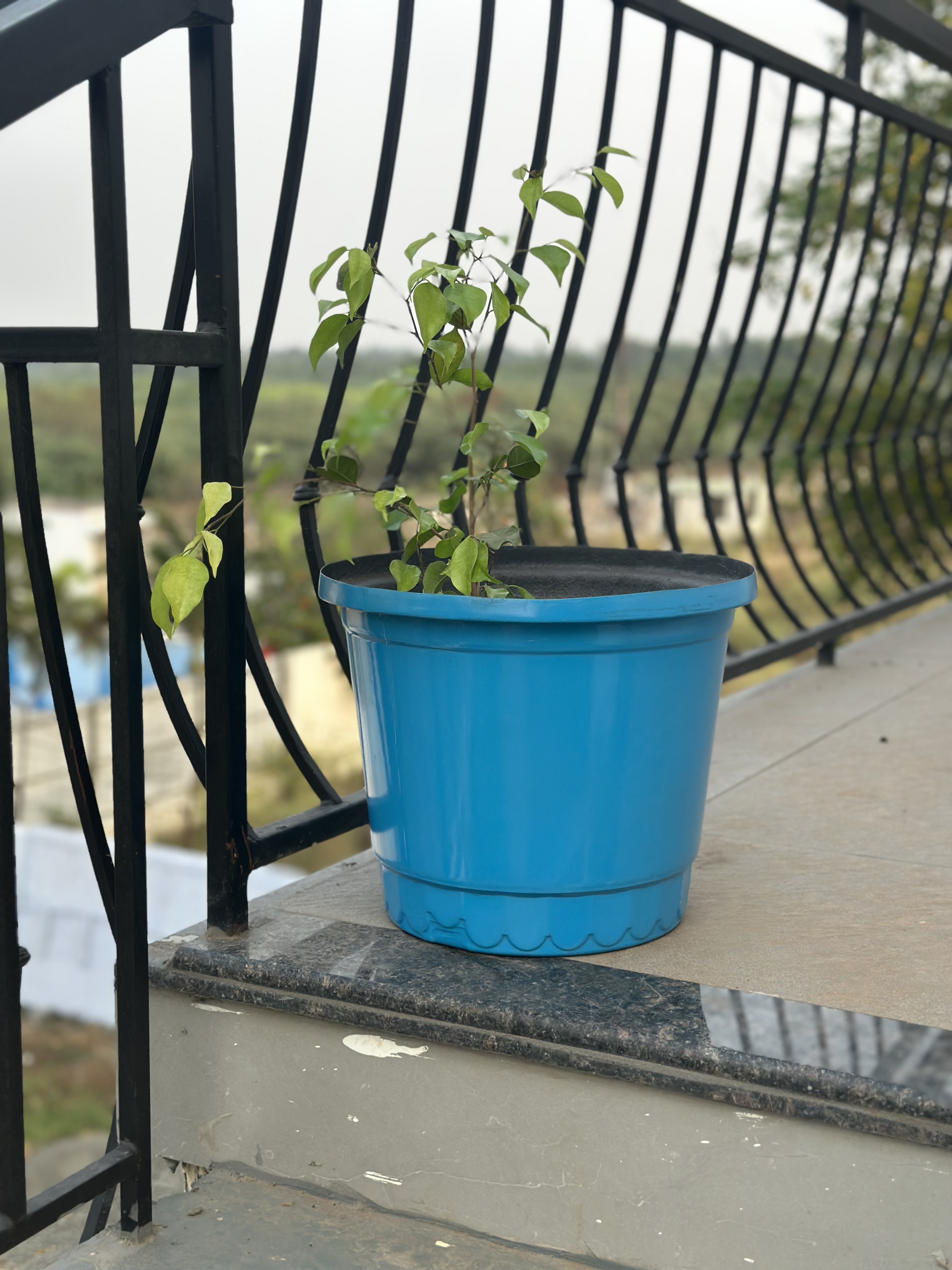 Round Bucket Planter view 3