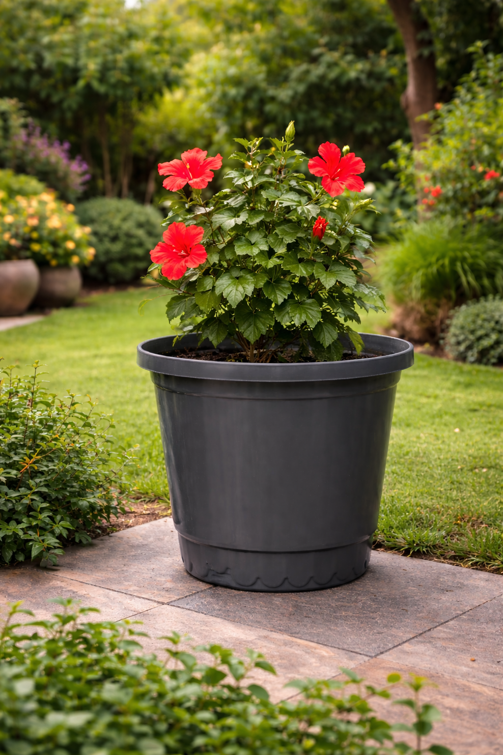 Round Bucket Planter