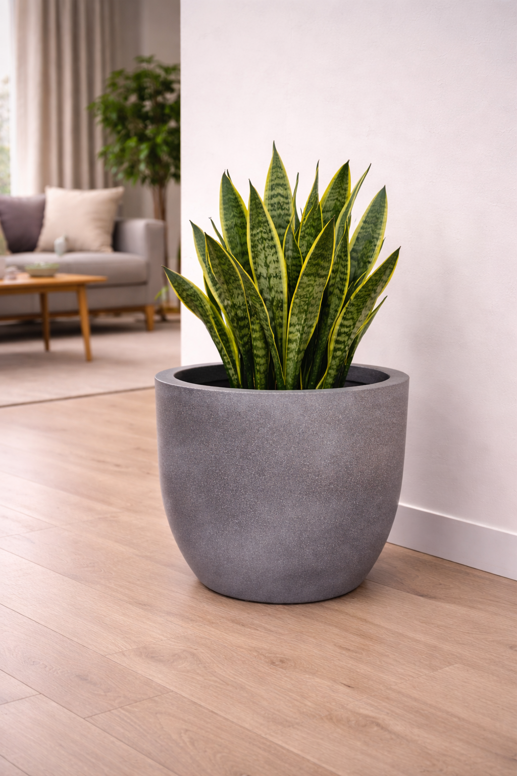 Oval Cylindrical Planter view 3