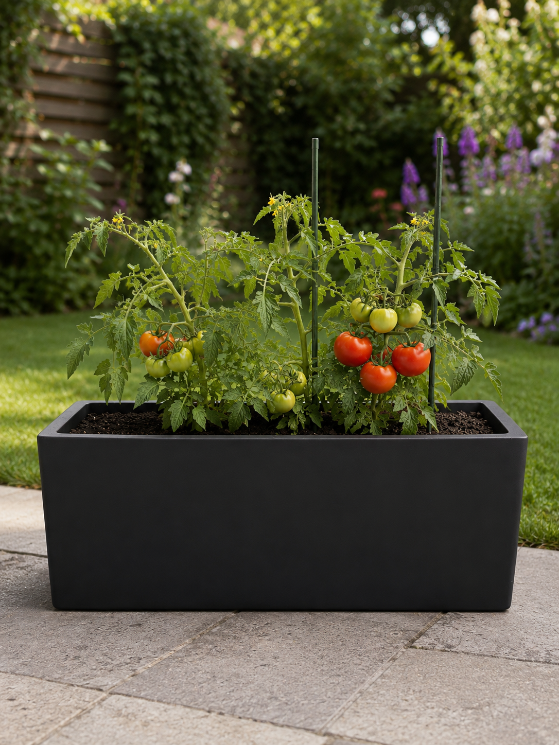 Outdoor & Garden