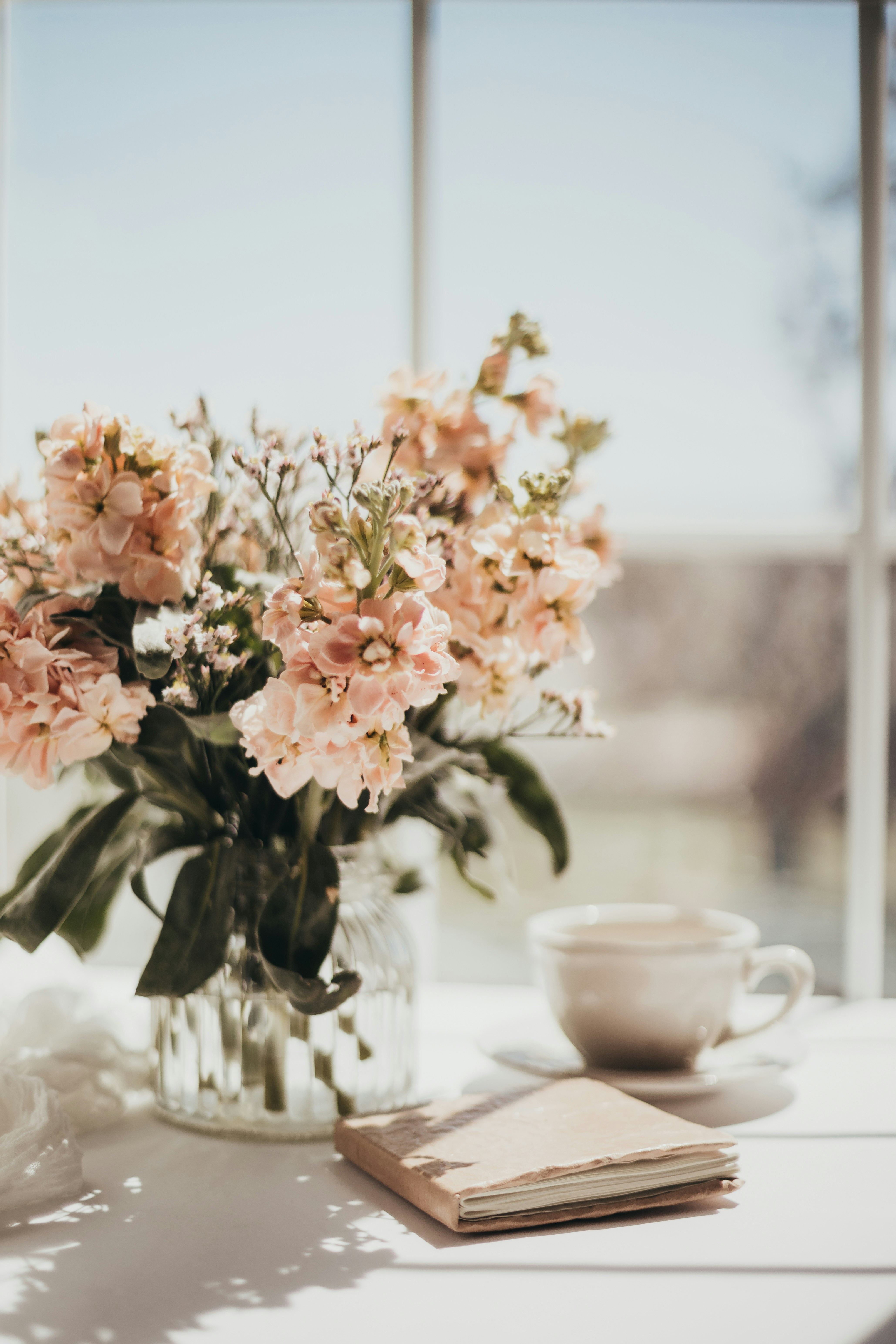 Peonies in soft natural light