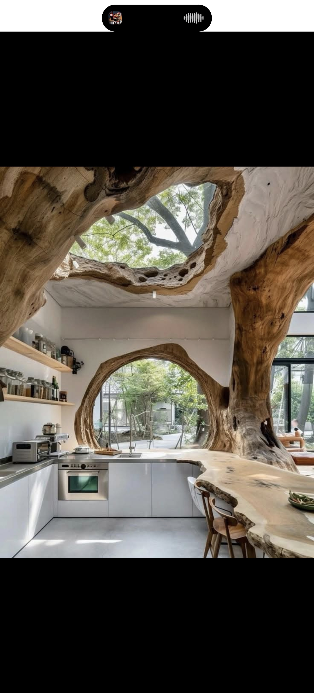 Cuisine Arborescente