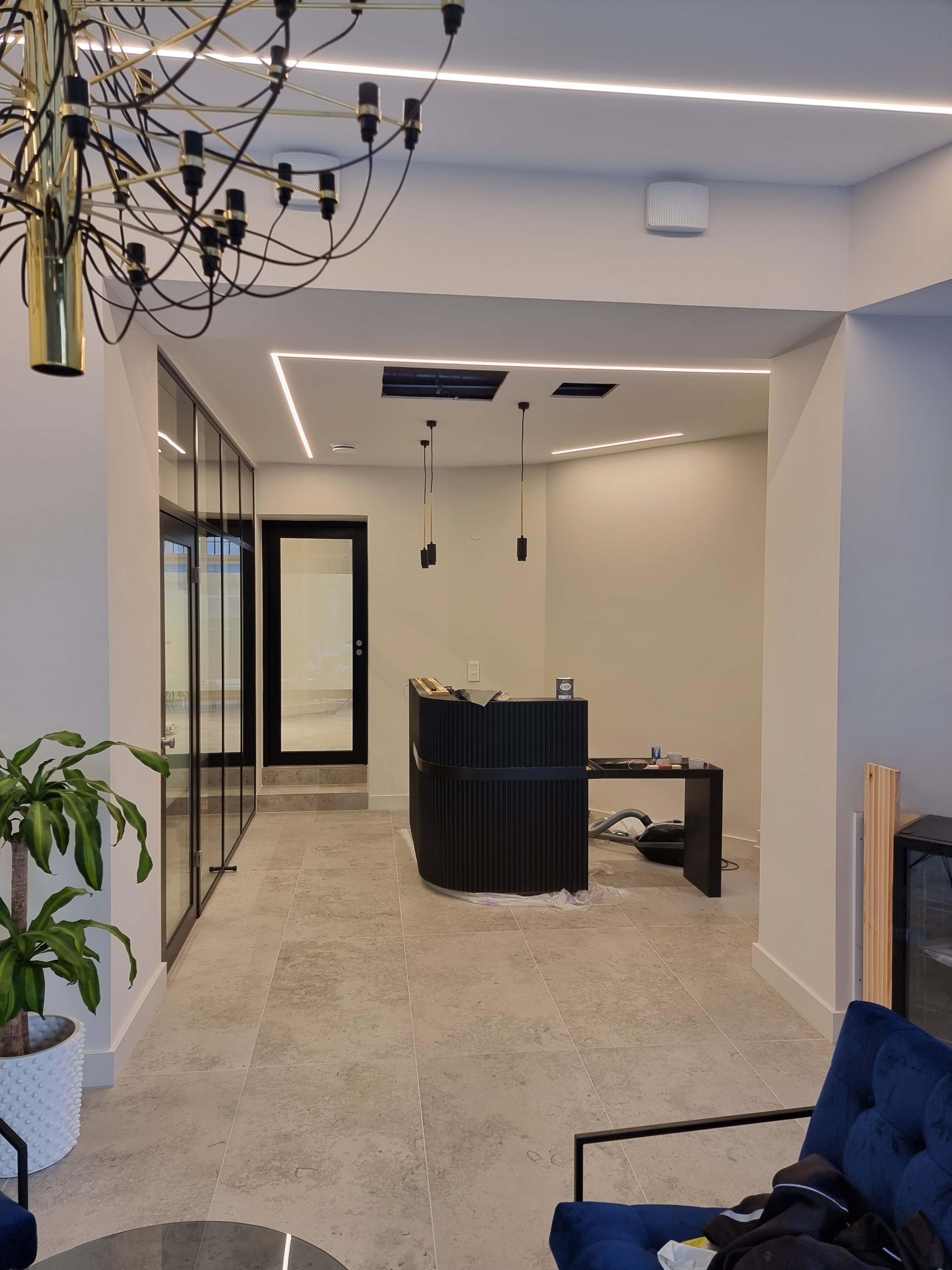 Modern reception