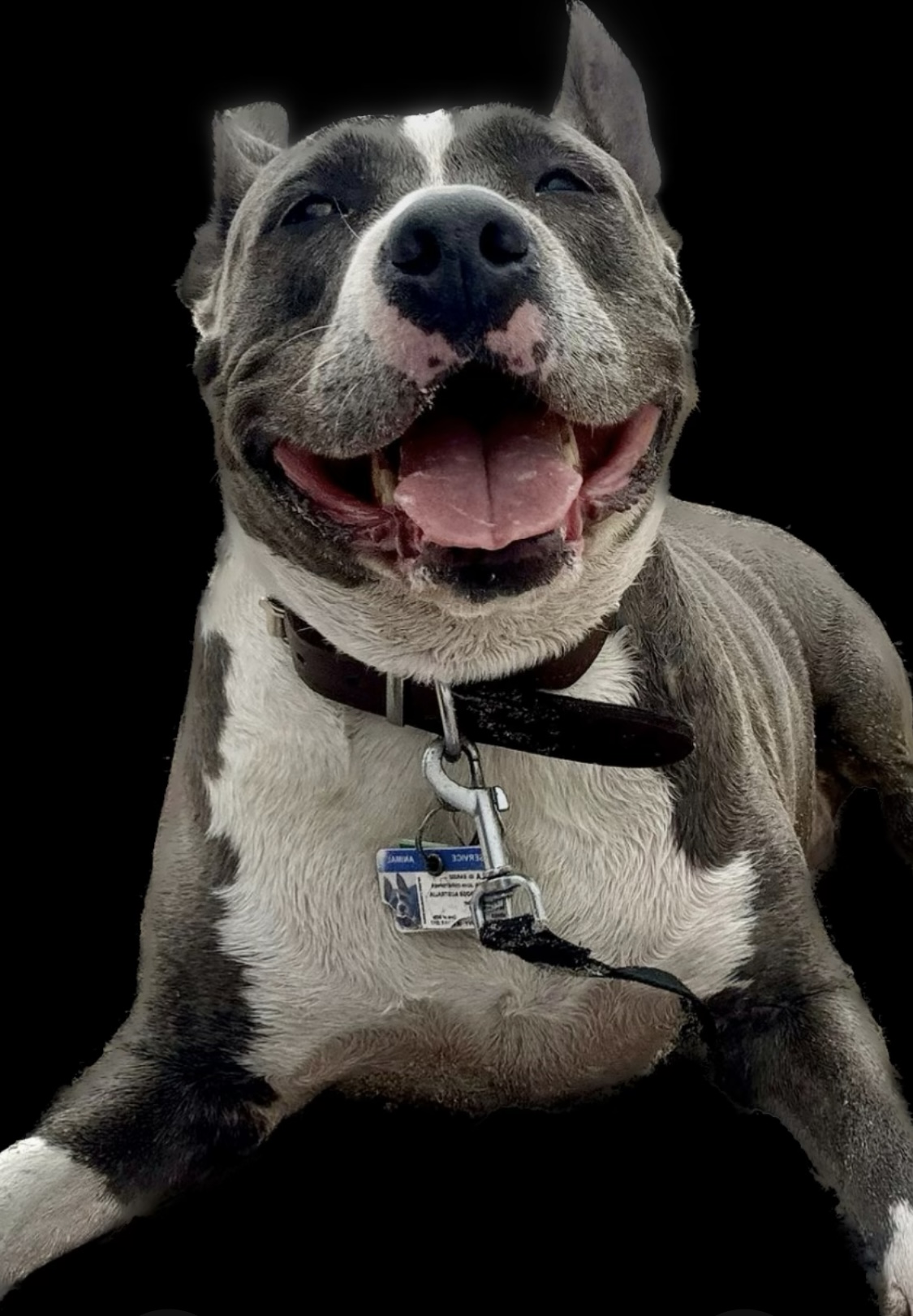 Lola — the ROADRIG workshop supervisor