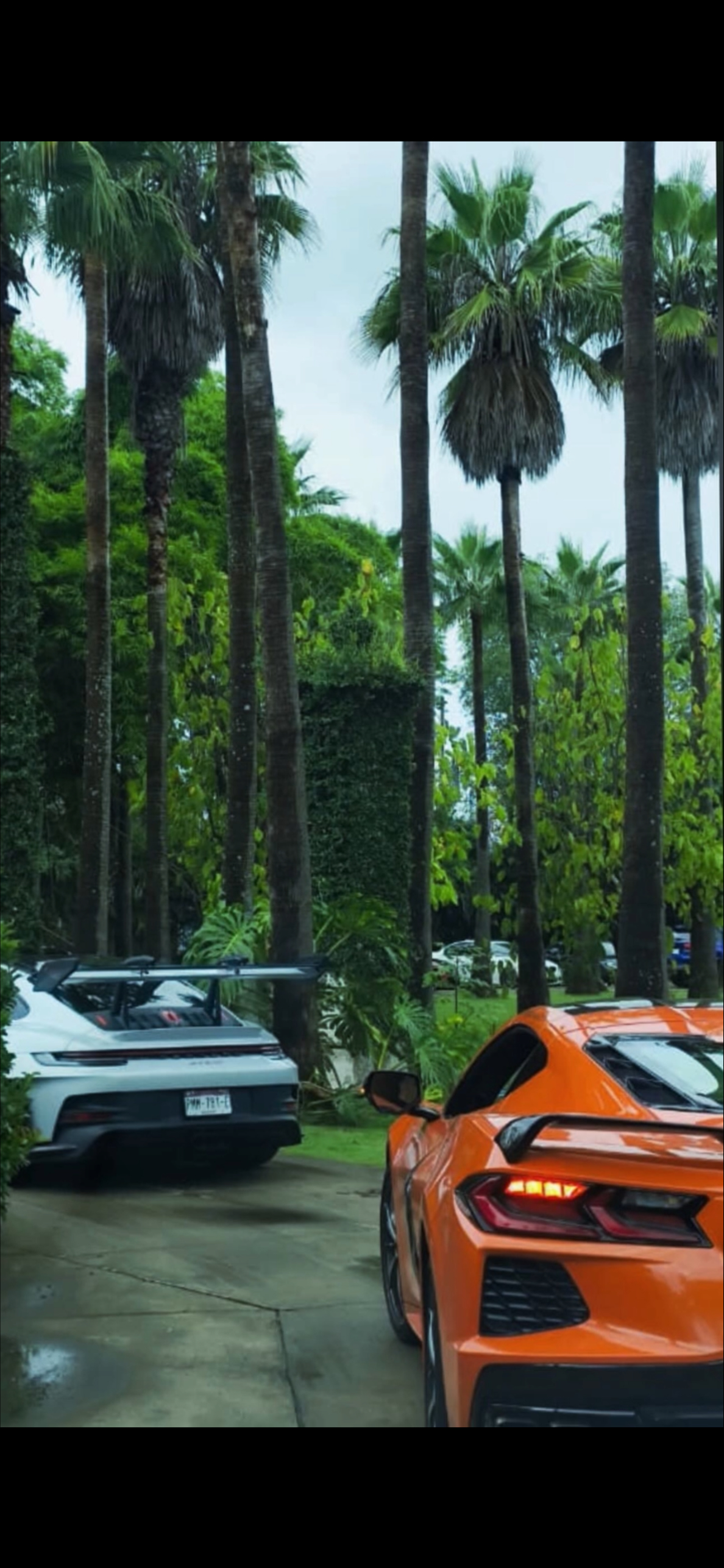 Porsche GT3 y Corvette bajo palmeras — Elite Valet Parking