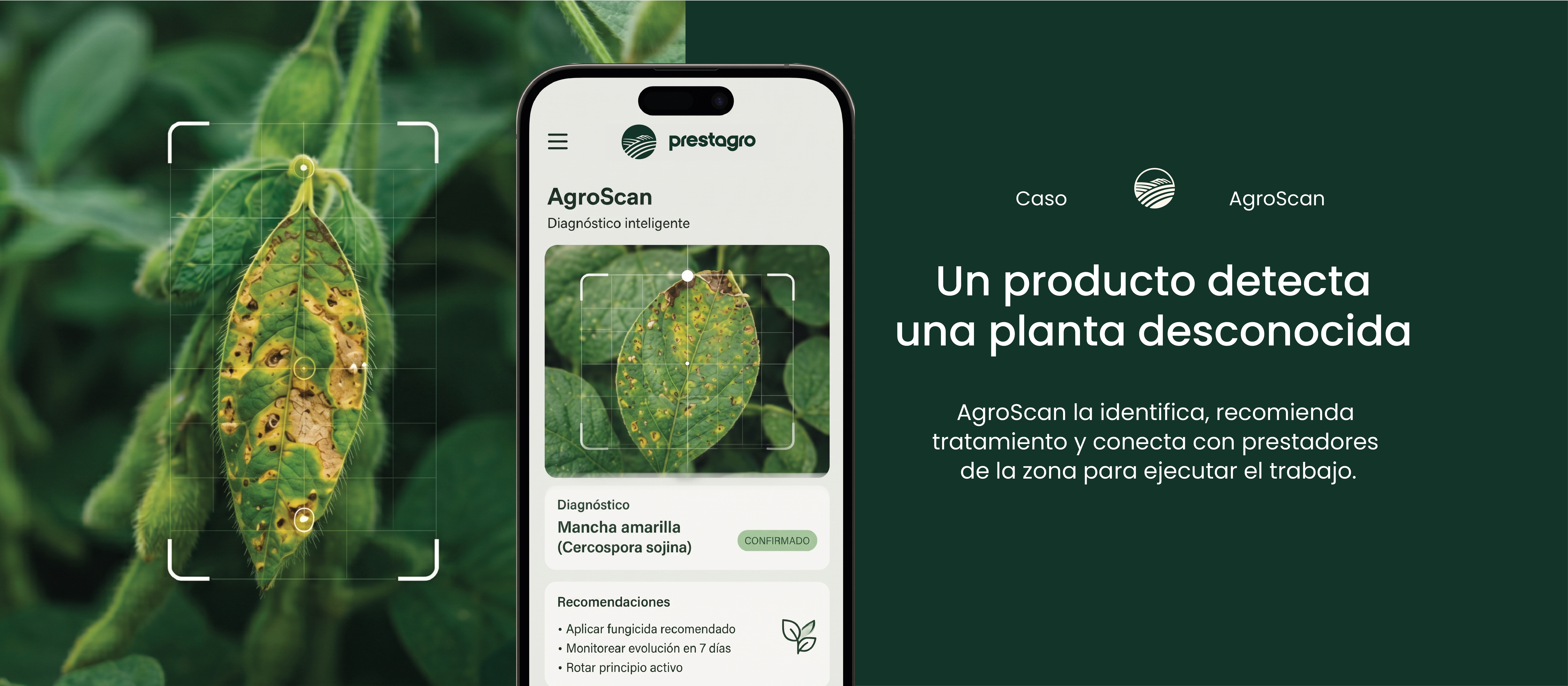 AgroScan - Diagnóstico inteligente de enfermedades en plantas