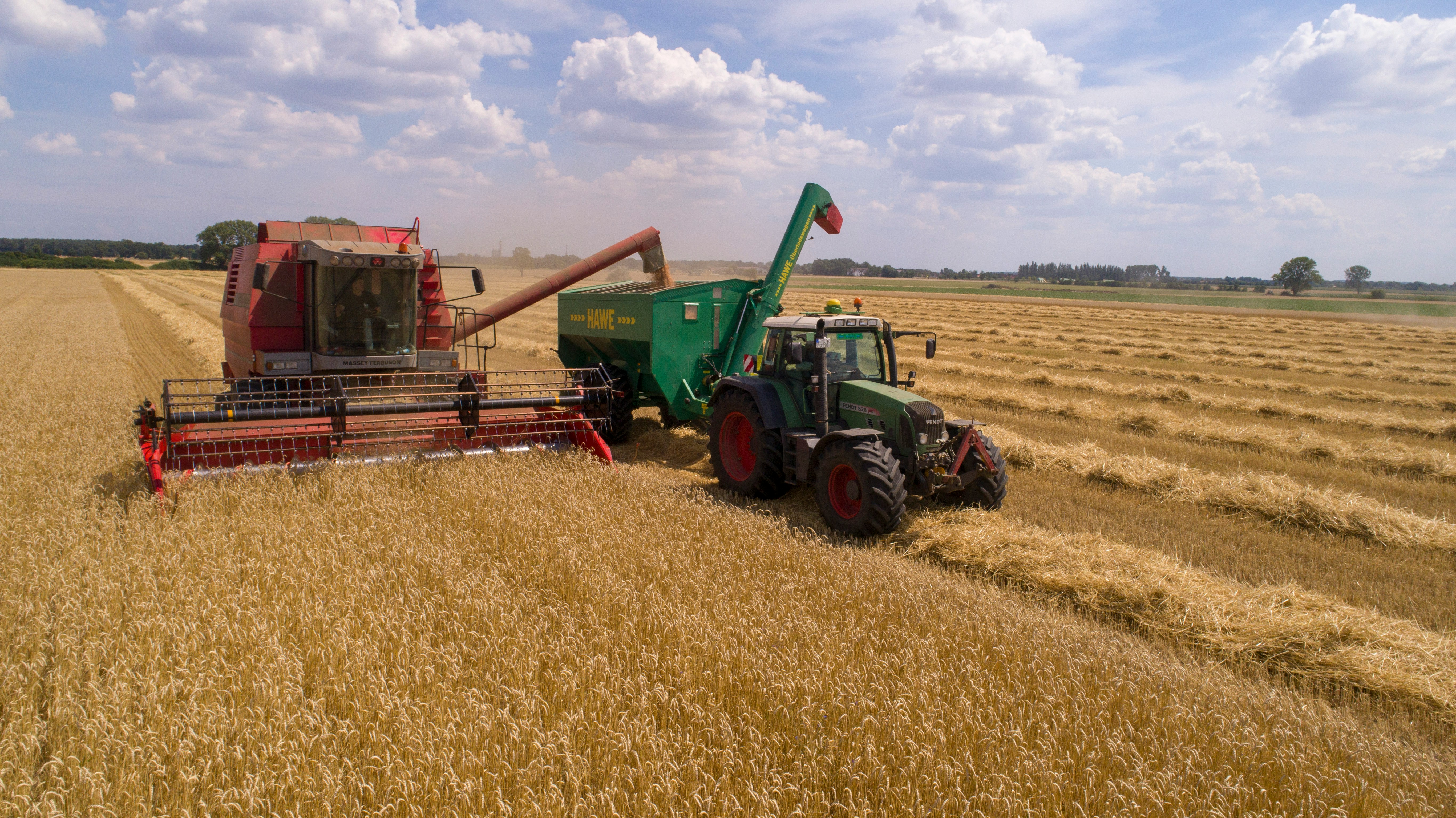 Cosechadora y tractor trabajando en campo de trigo