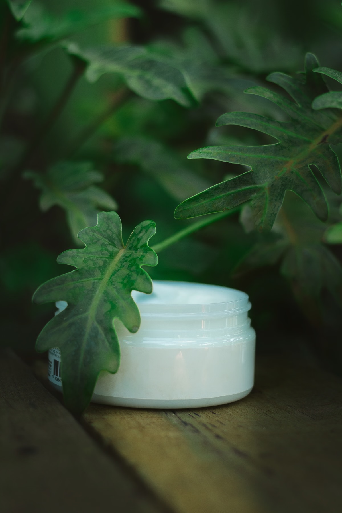 Moss Glow Night Balm