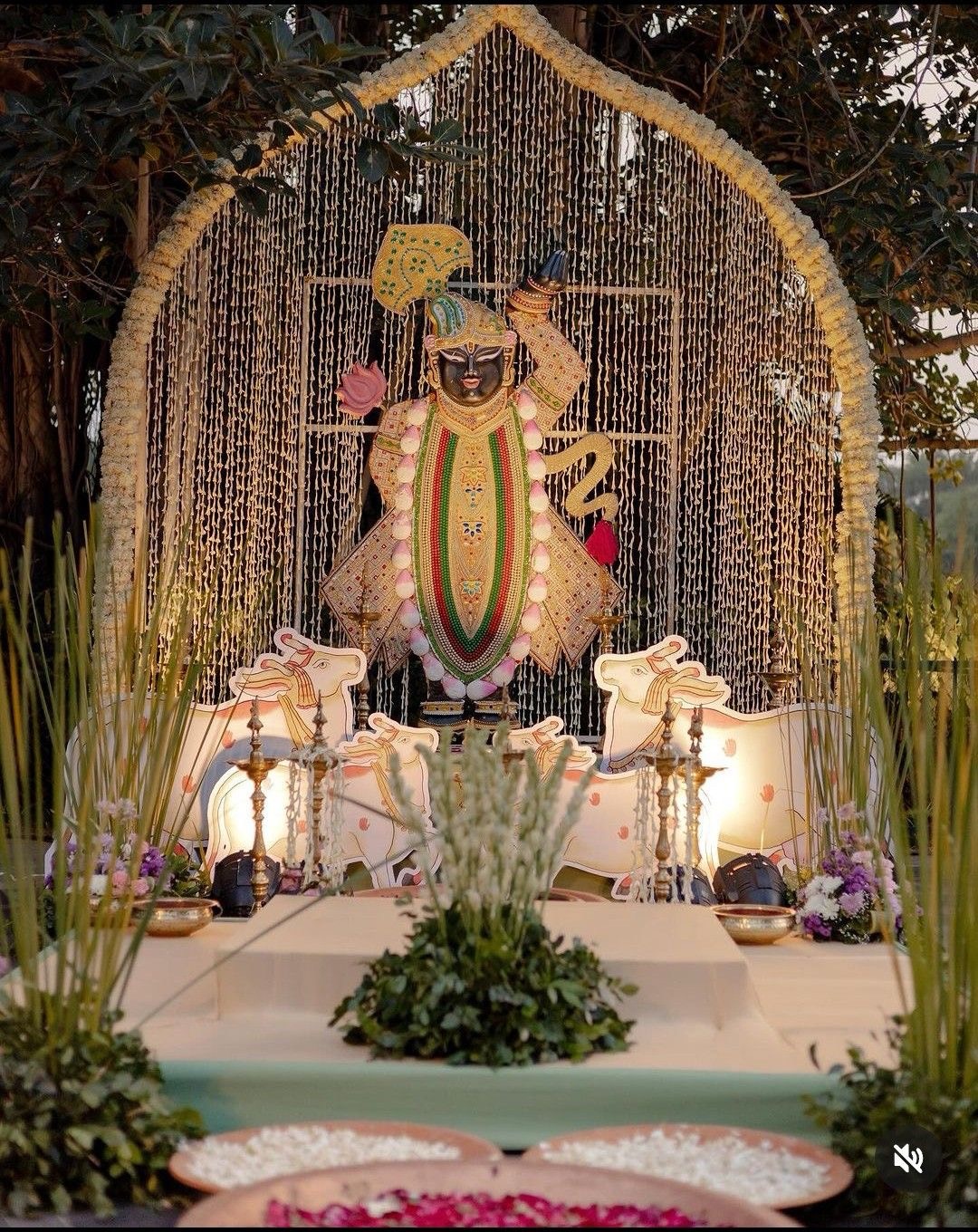 Why Dharamshala Is Himachal's Top Event & Wedding Destination for 2026