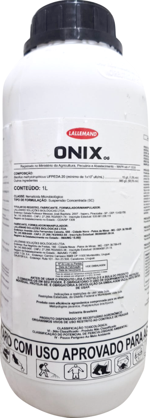 Onix