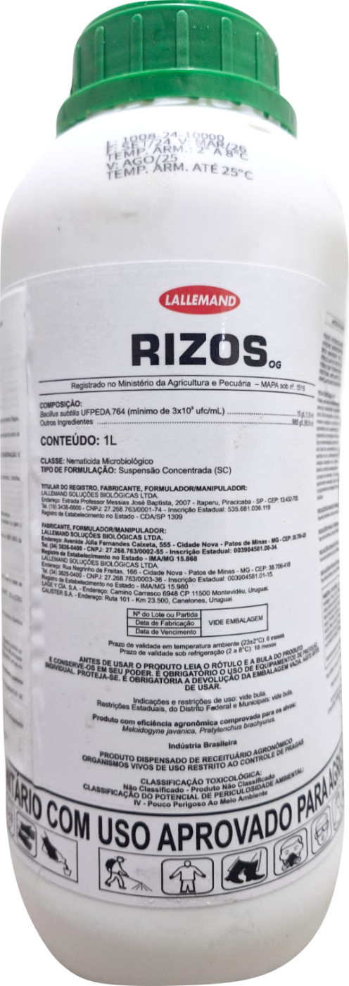 Rizos