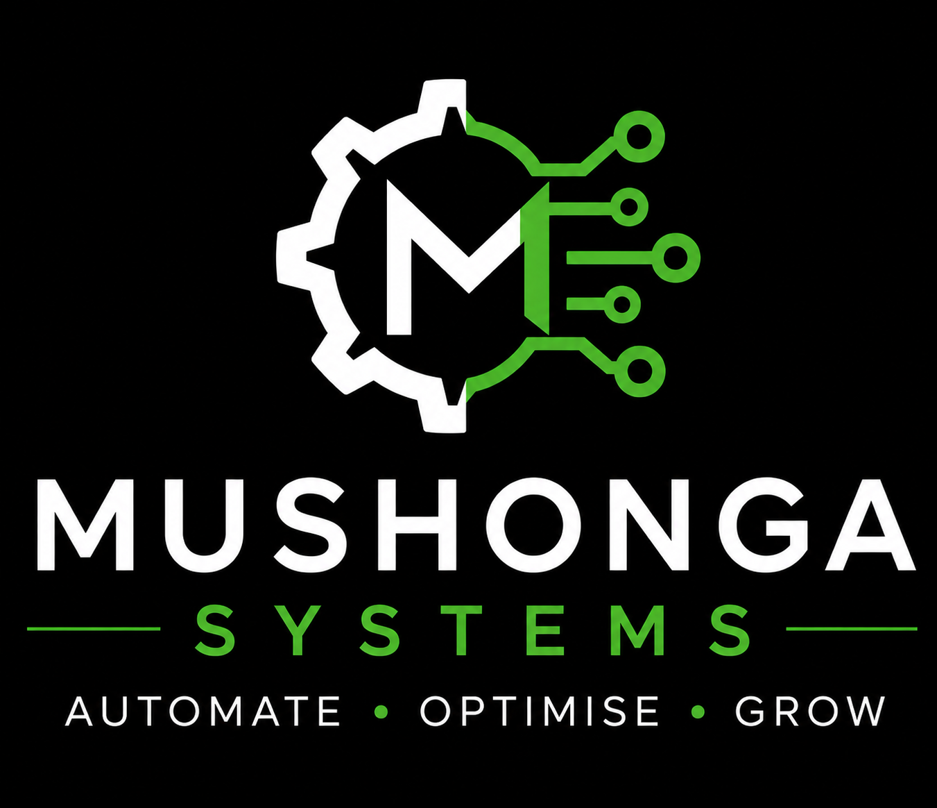 Mushonga Systems