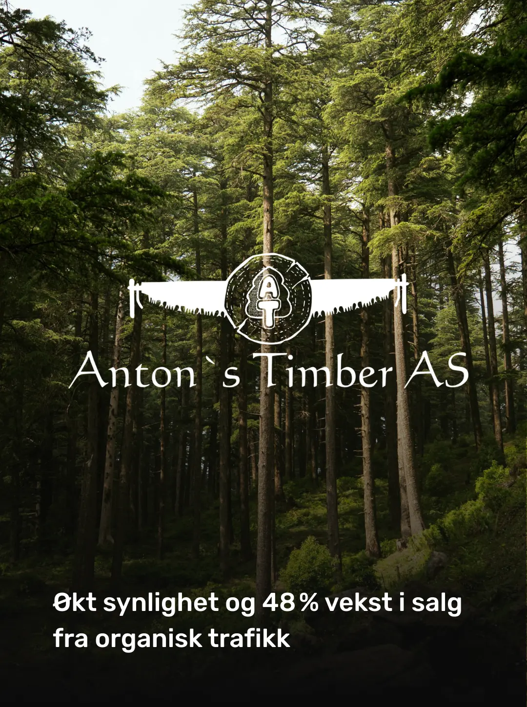 Anton AS – SEO-resultater