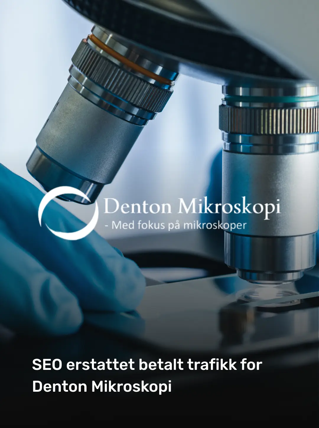 Denton – SEO-resultater