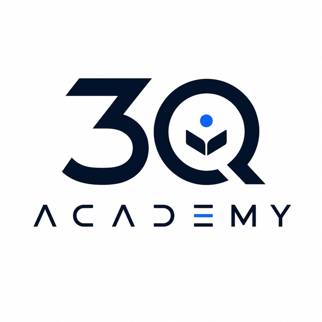 3Q Academy