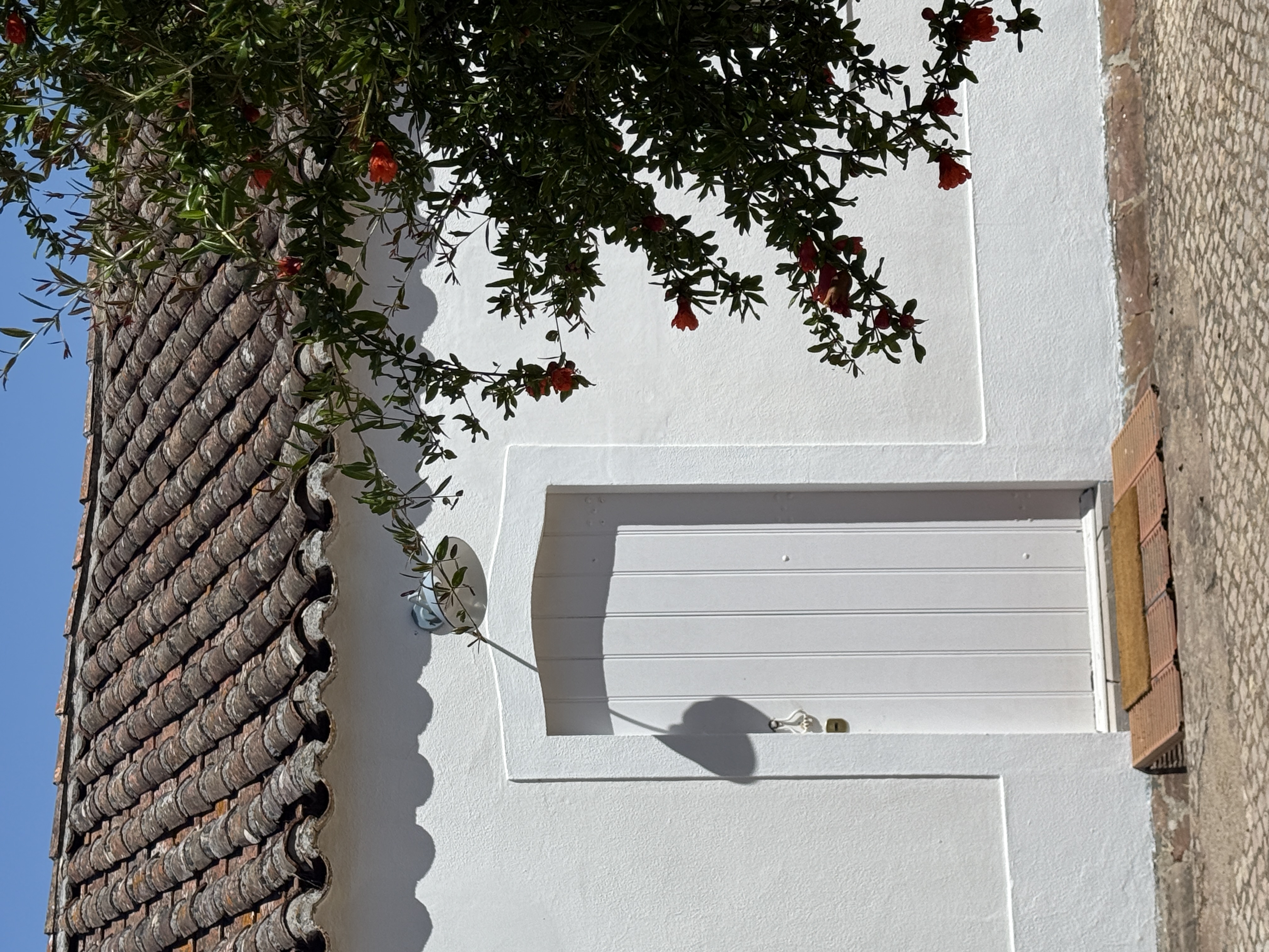 Wood Oven House II entrance with pomegranate flowers