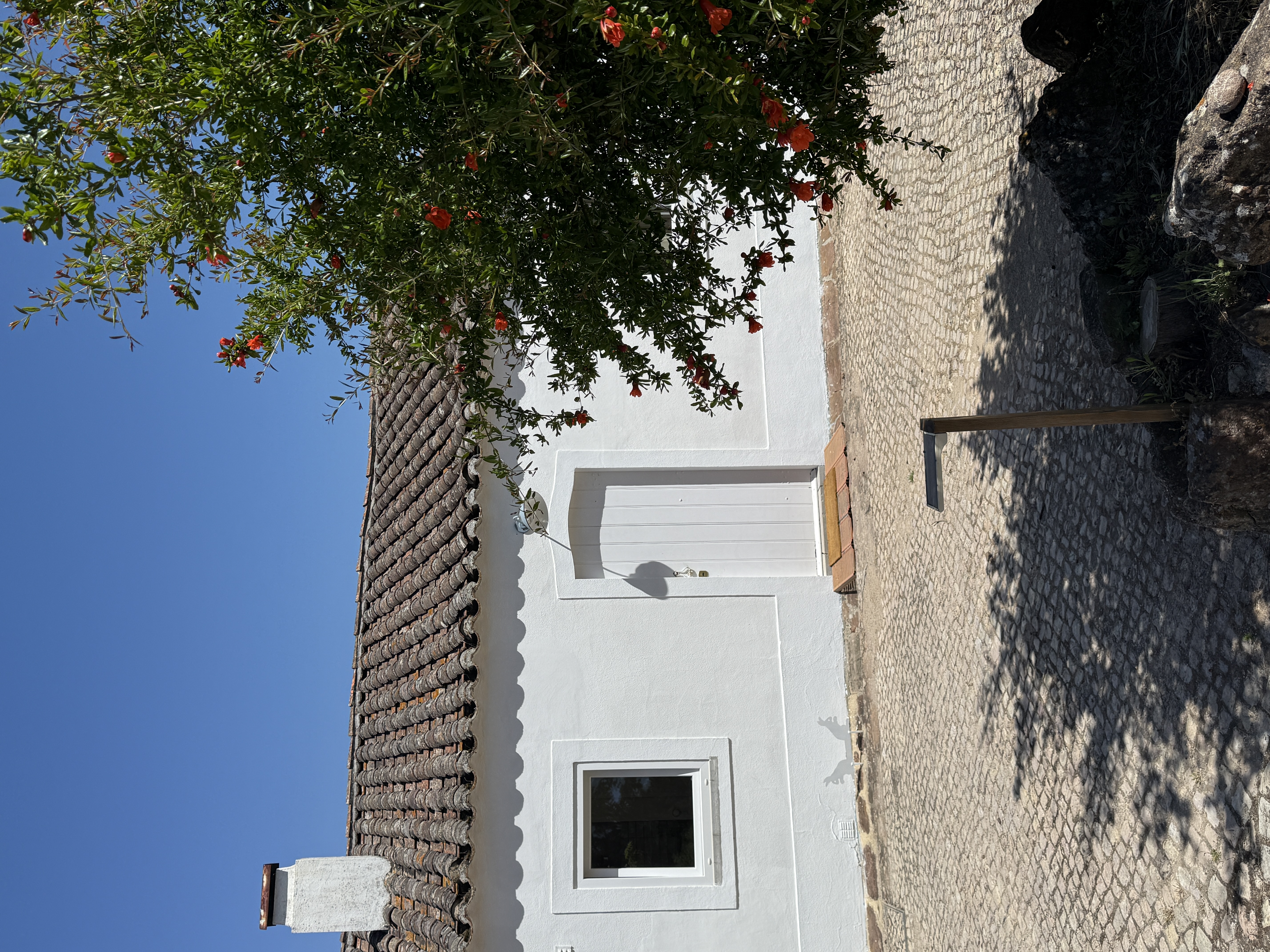 Wood Oven House II exterior facade