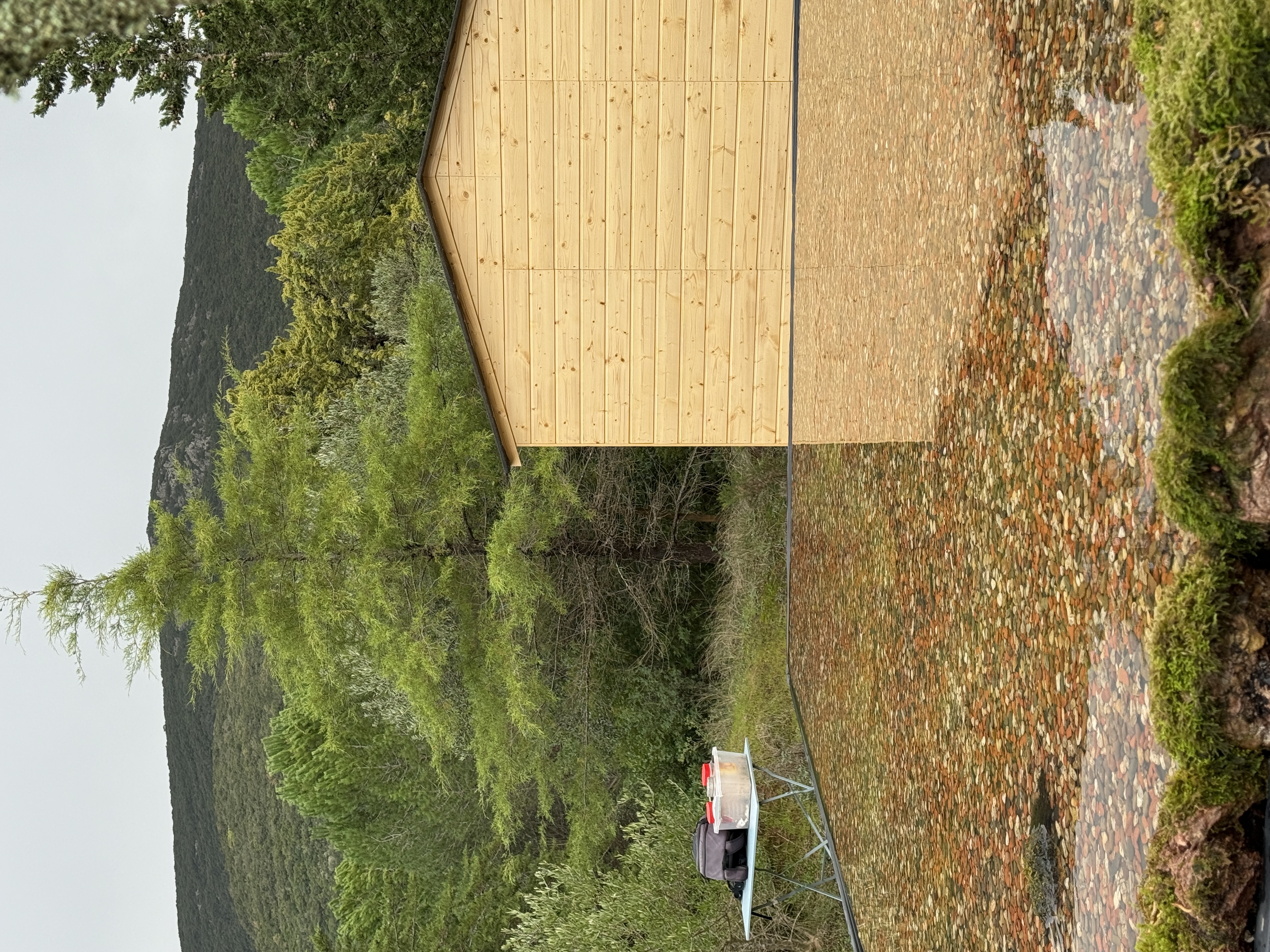 Wooden birdwatching shelter overlooking the lake