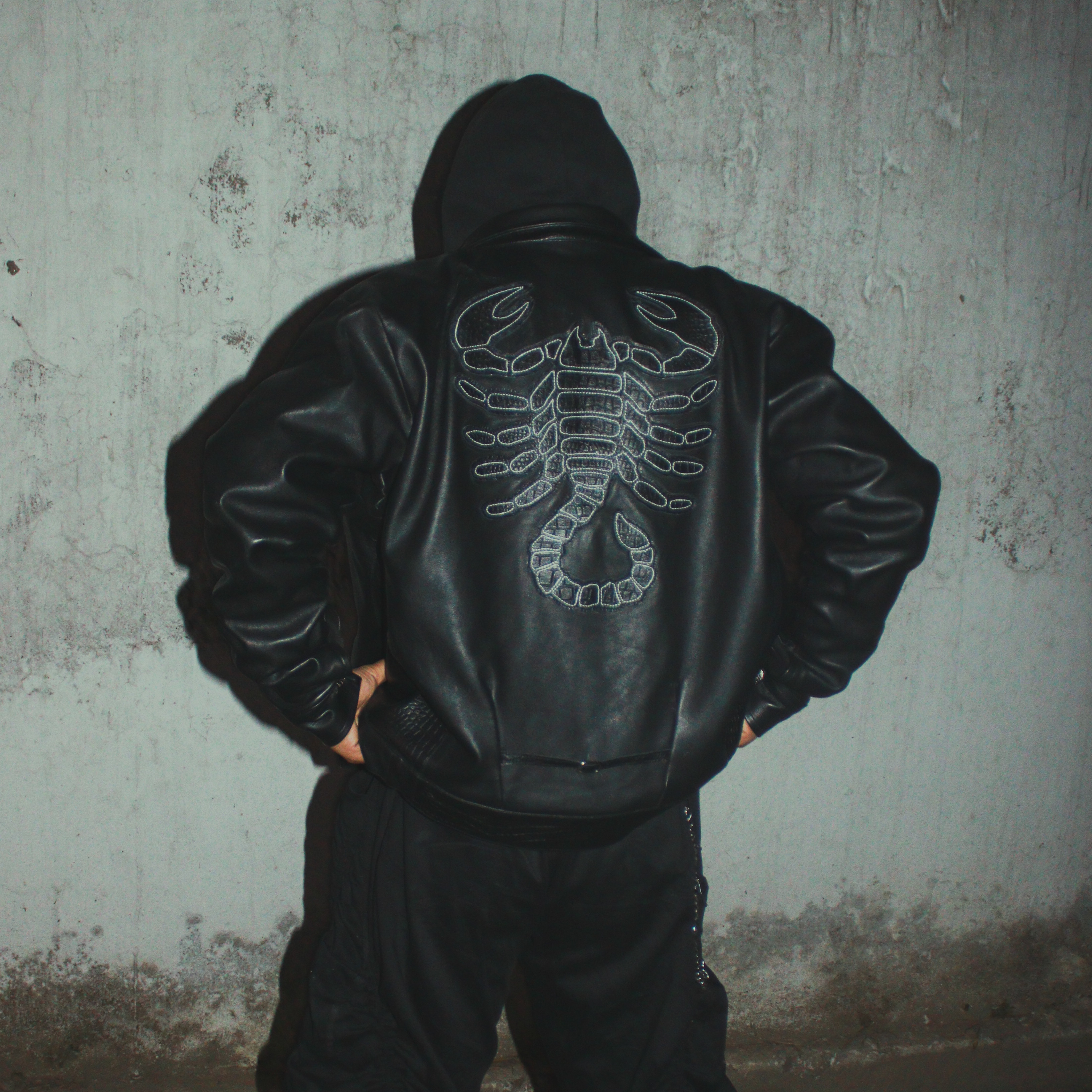 "Scorpio" Leather Jacket 3