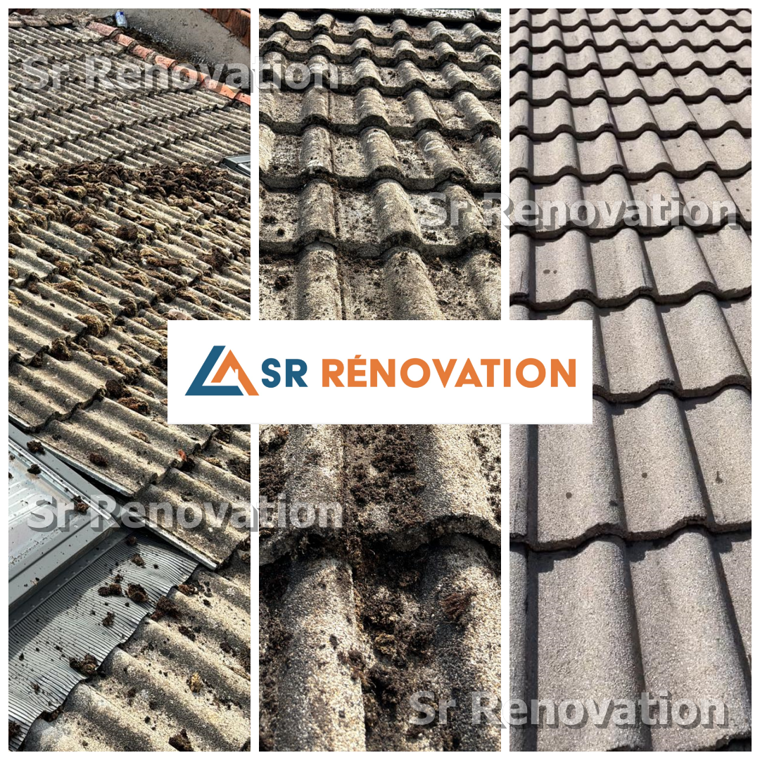 Nettoyage de toiture / Démoussage / Traitement hydrofuge Audincourt