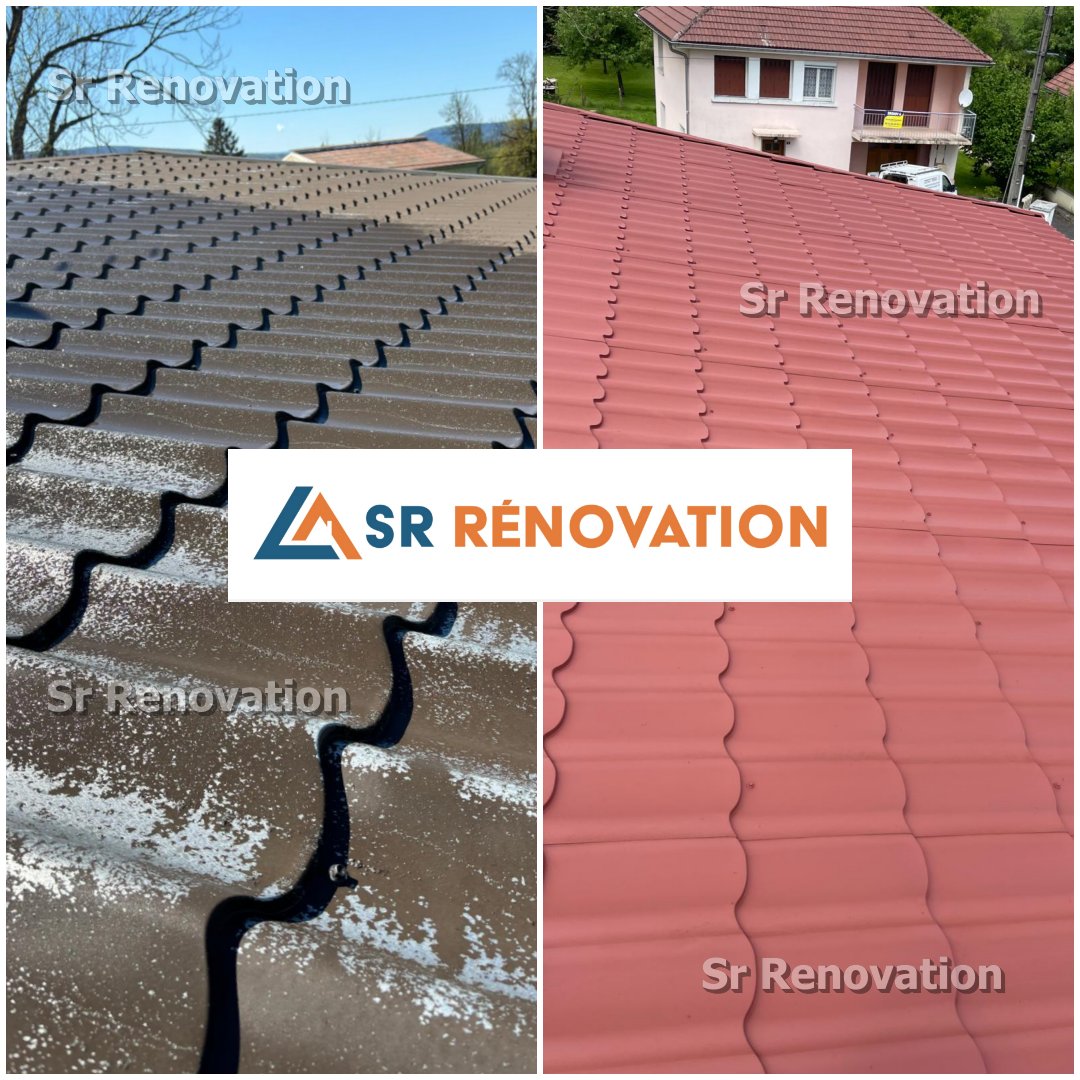 Peinture toiture et extérieure Damparis