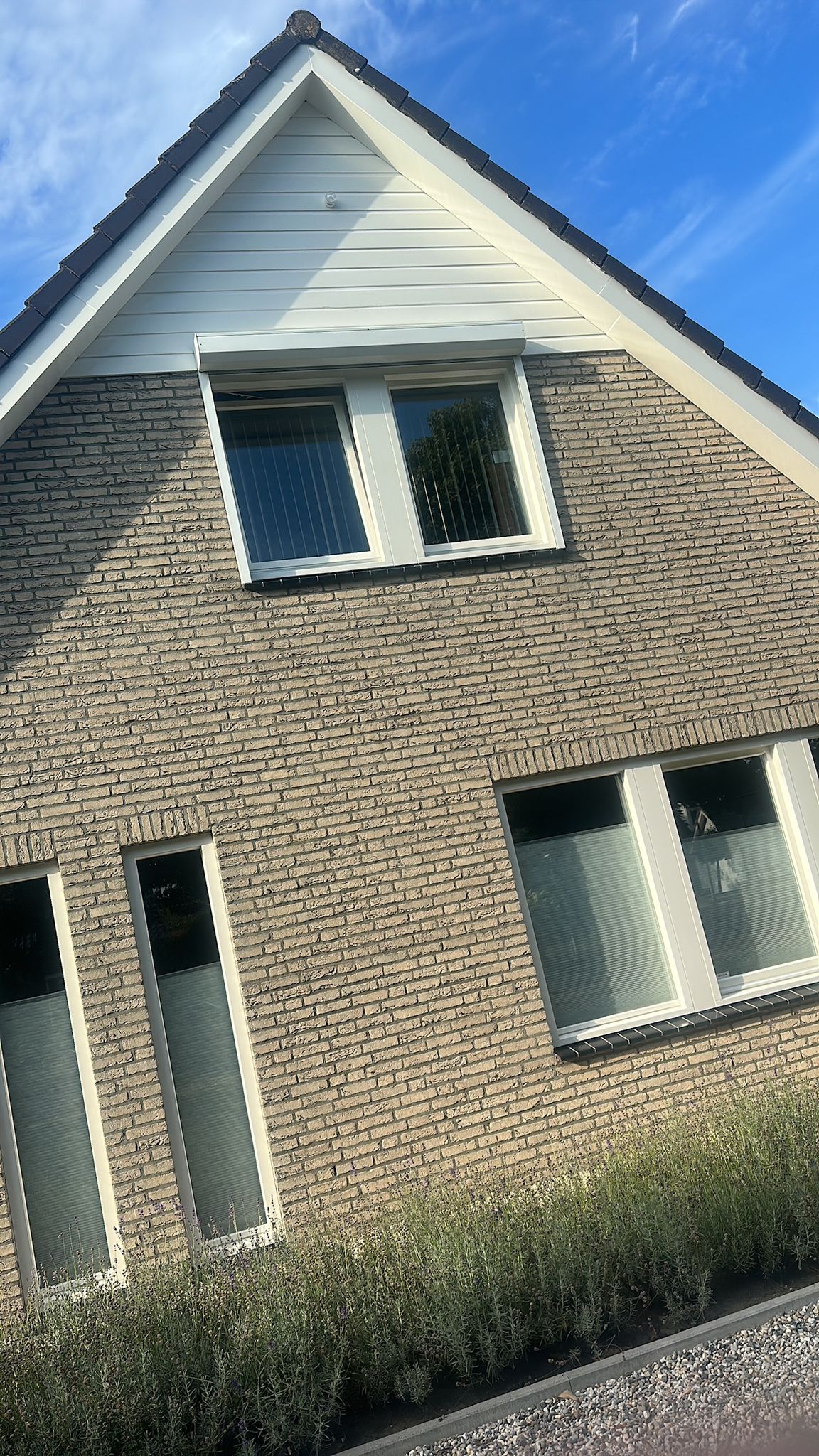 Houtrot Reparatie