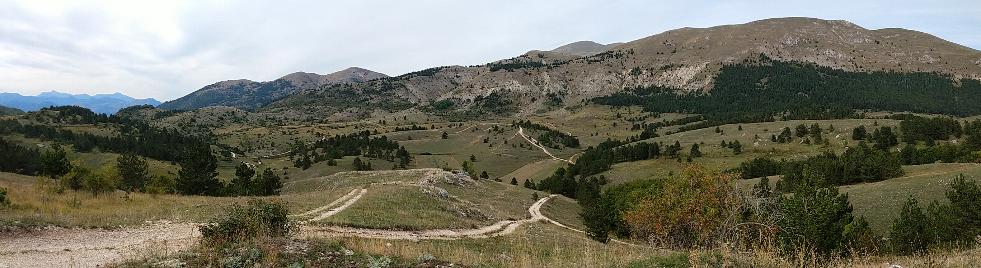 Montagne alpine