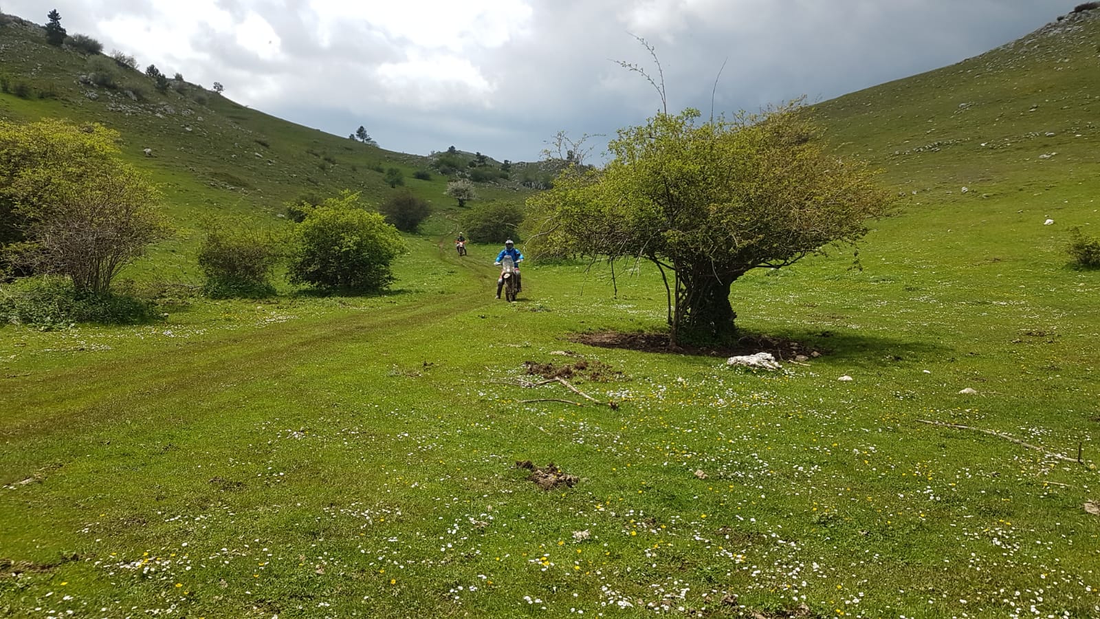 Prato verde in montagna