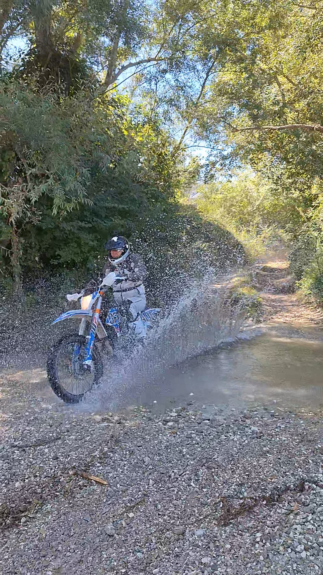 Trail nel bosco