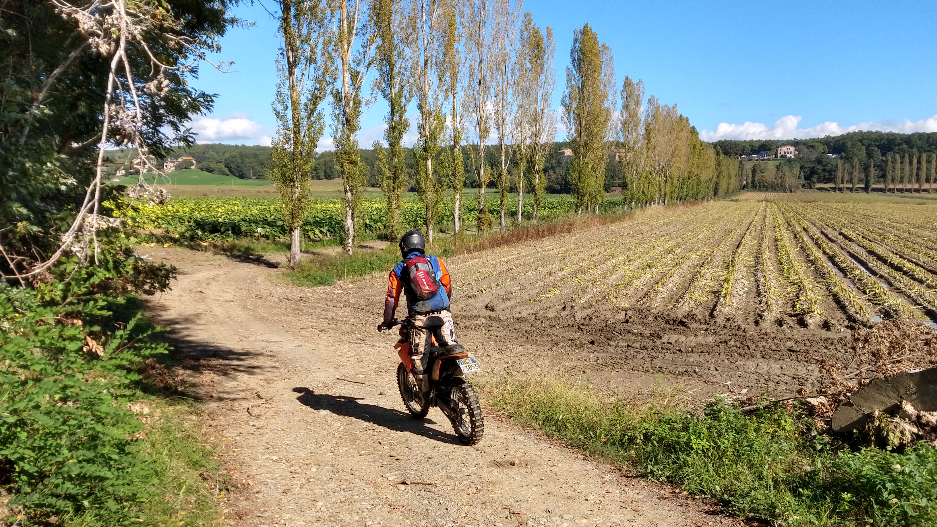 Campagna toscana con cipressi