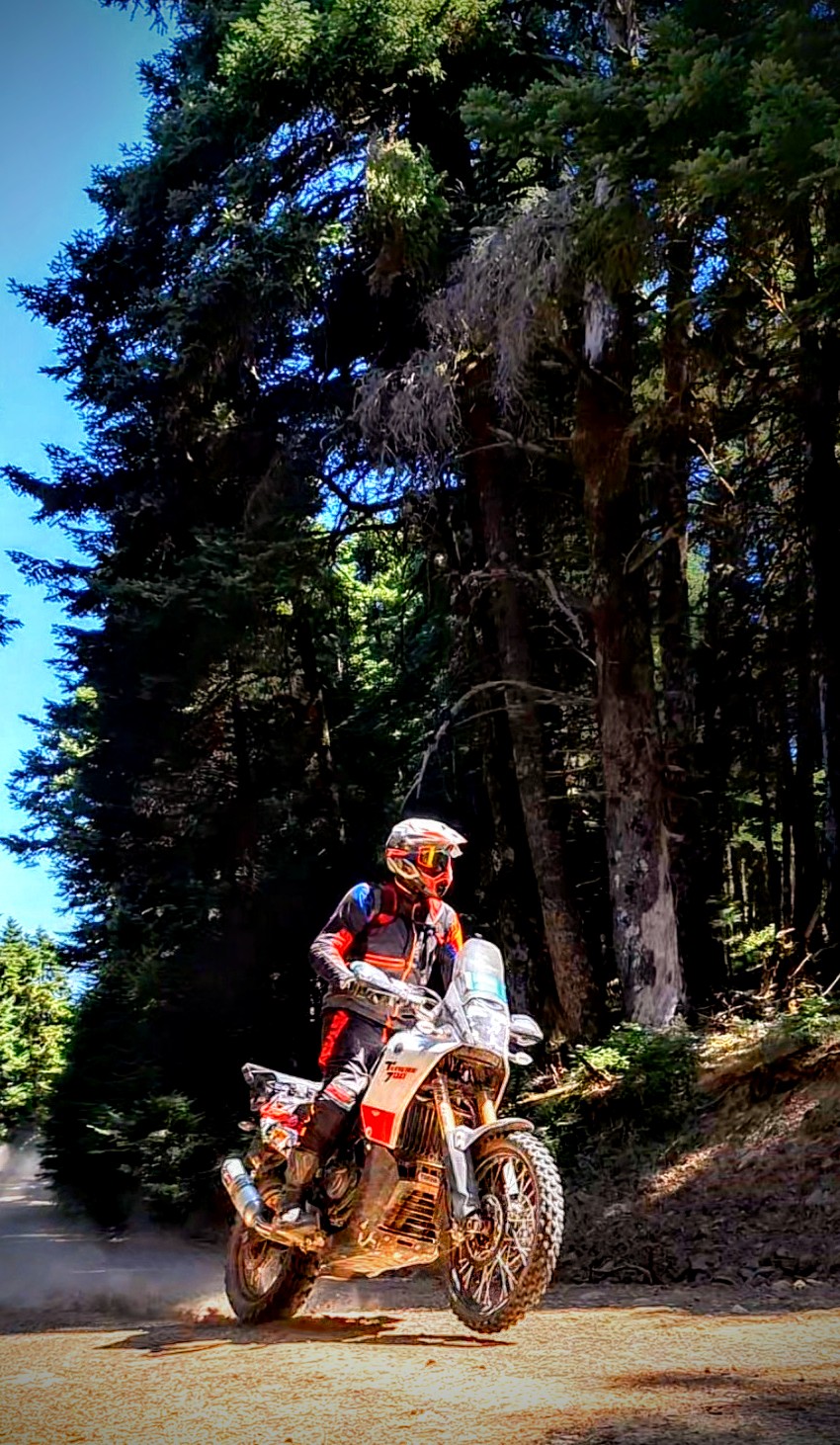 Foresta greca