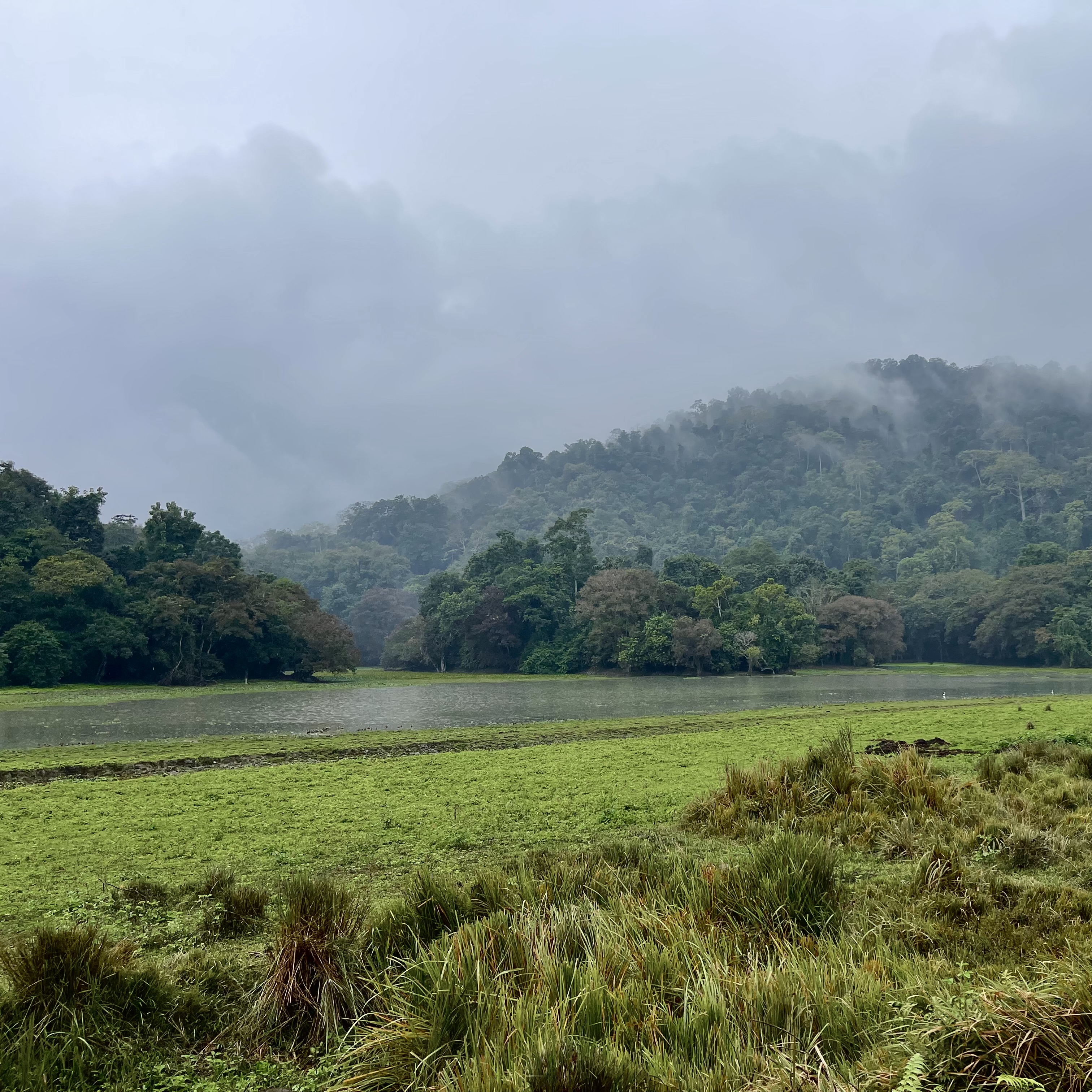 Ekologos: A Global Environmental Project