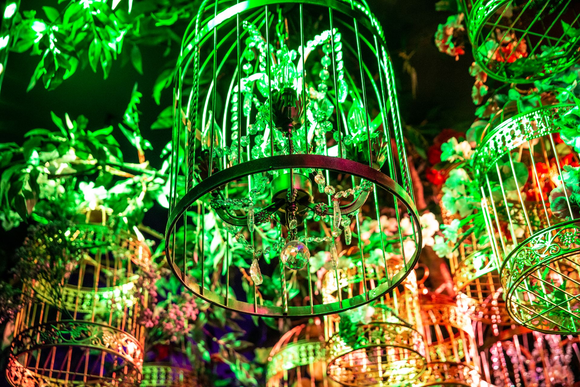 Emerald Cages · Deep Garden