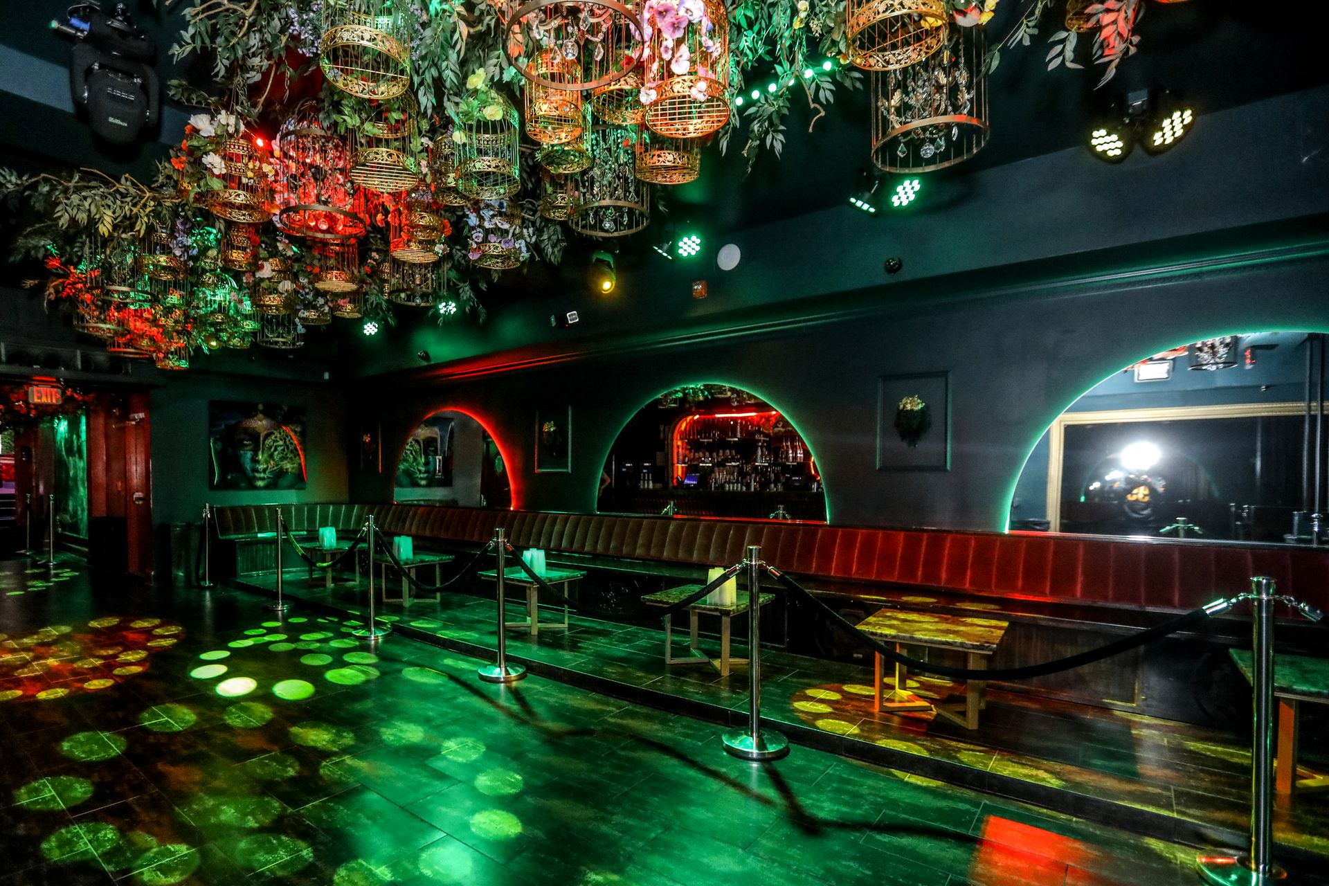 The Jungle Floor · Green Glow