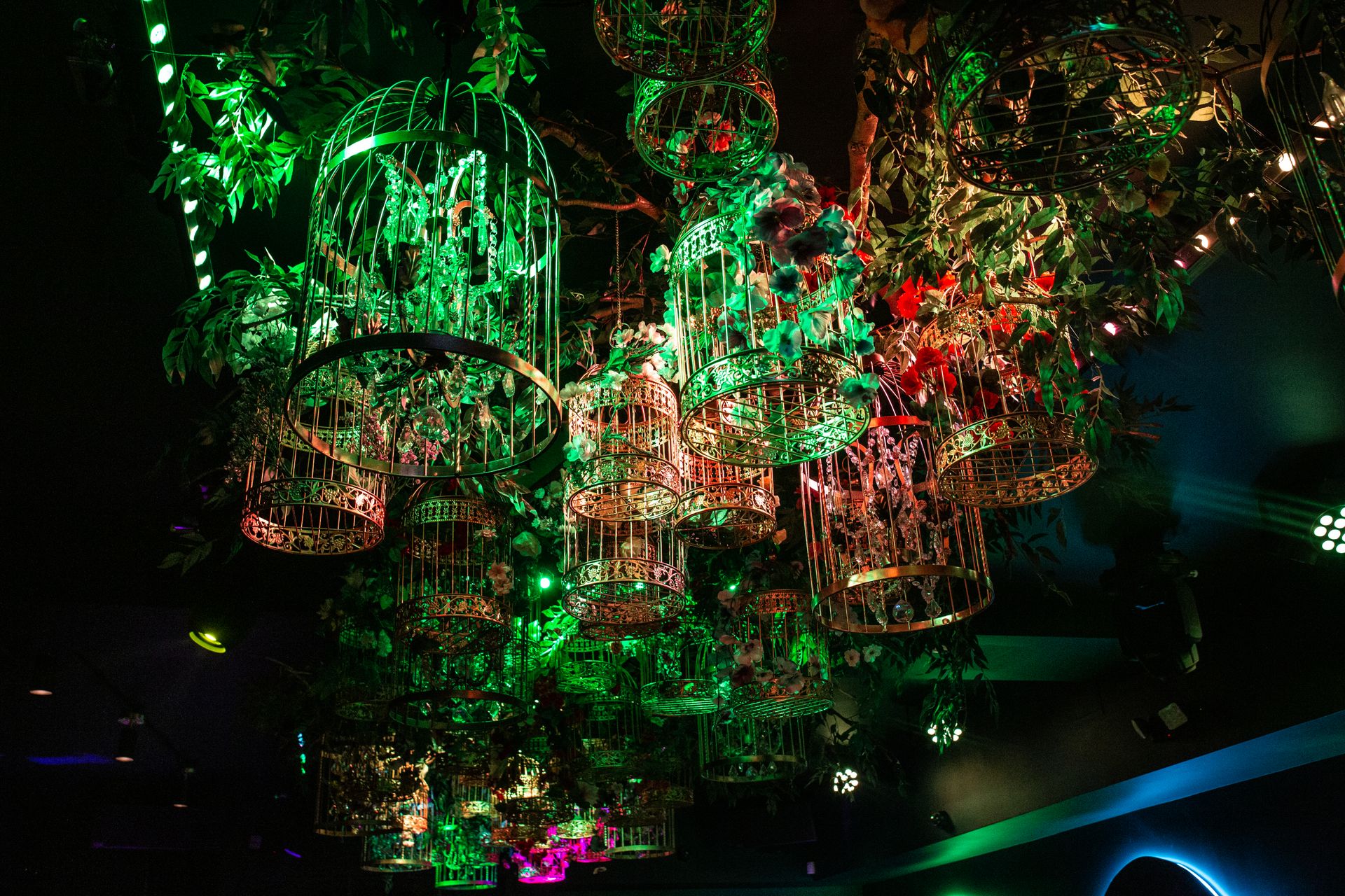 The Birdcages · Inner Sanctum