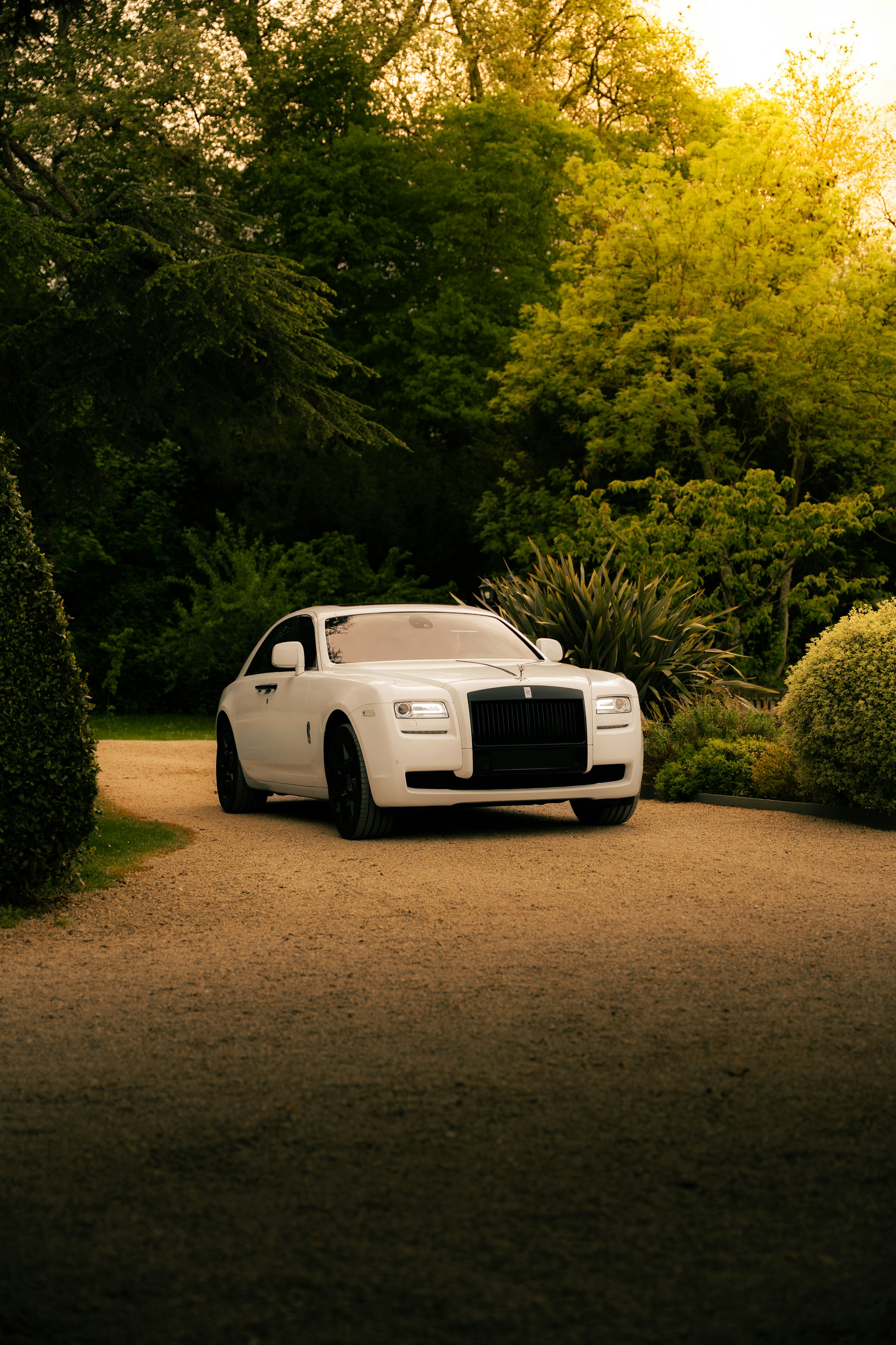 VIP Chauffeur Service