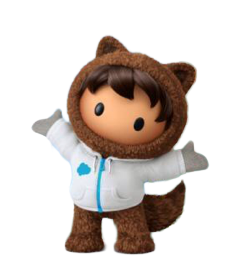 Salesforce Success