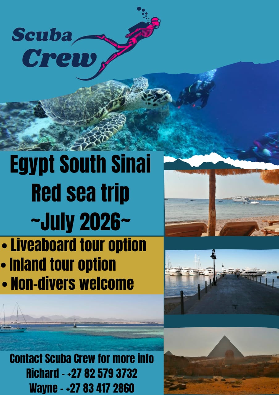 Egypt, South Sinai, Red Sea
