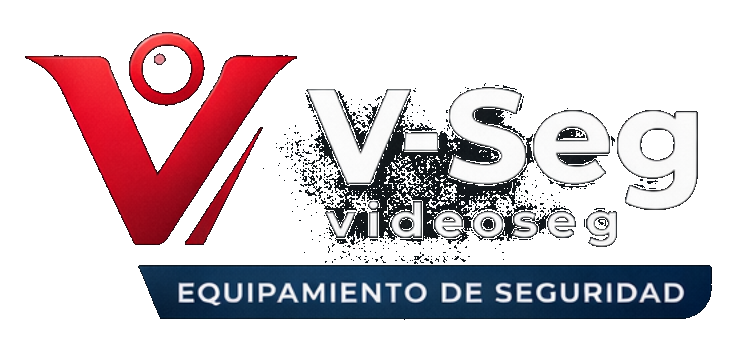 V-Seg