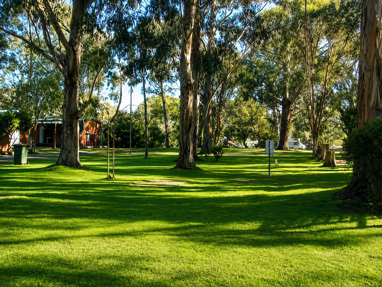 Shady grassed sites under tall eucalypts at Shady Acres Ballarat