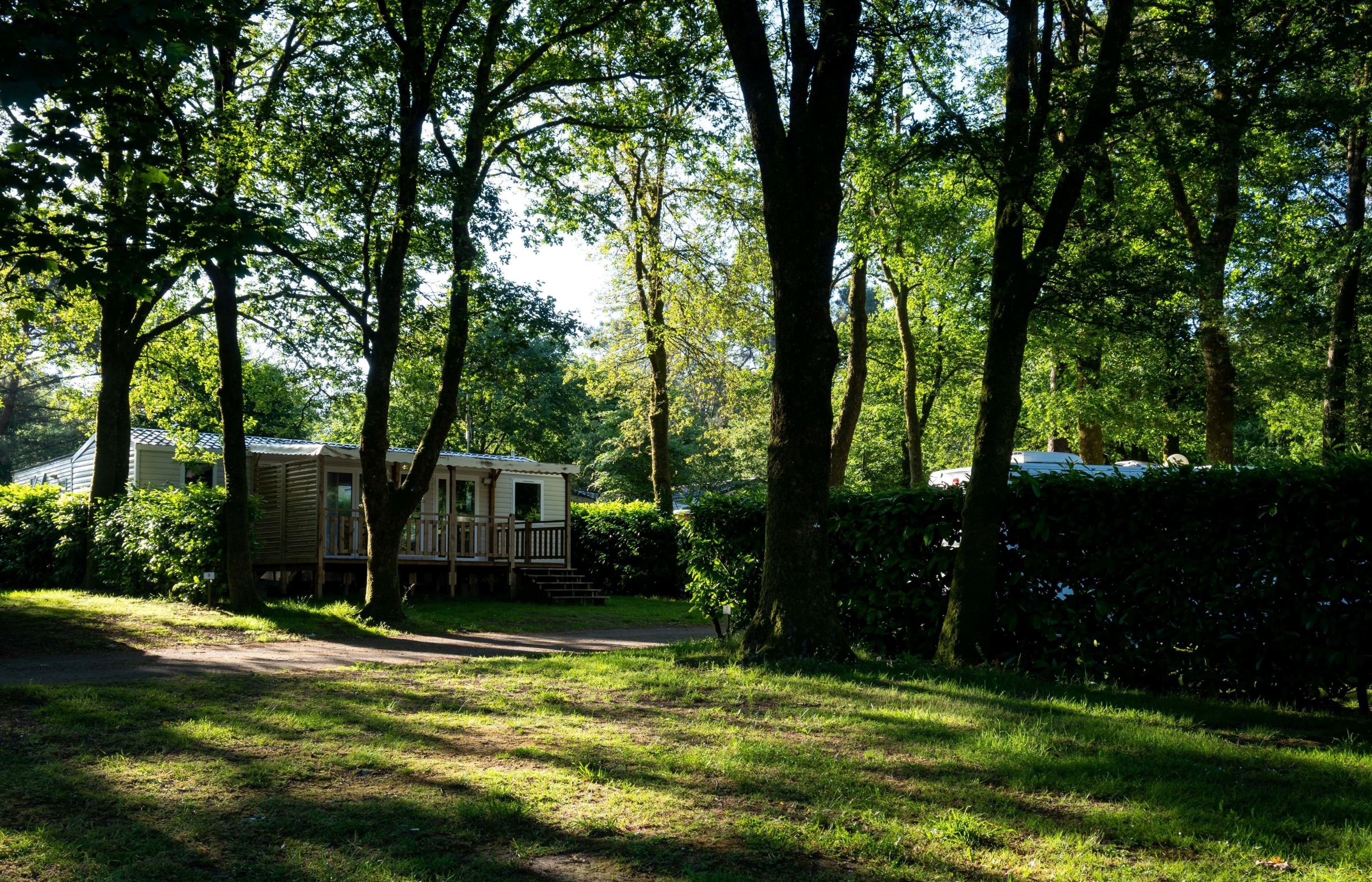 Cabin nestled under towering gums on a sunlit forest path at Shady Acres Caravan Park, Ballarat