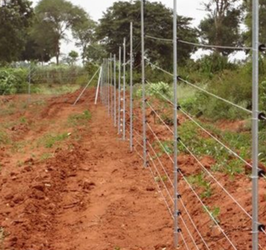 Perimeter Fencing
