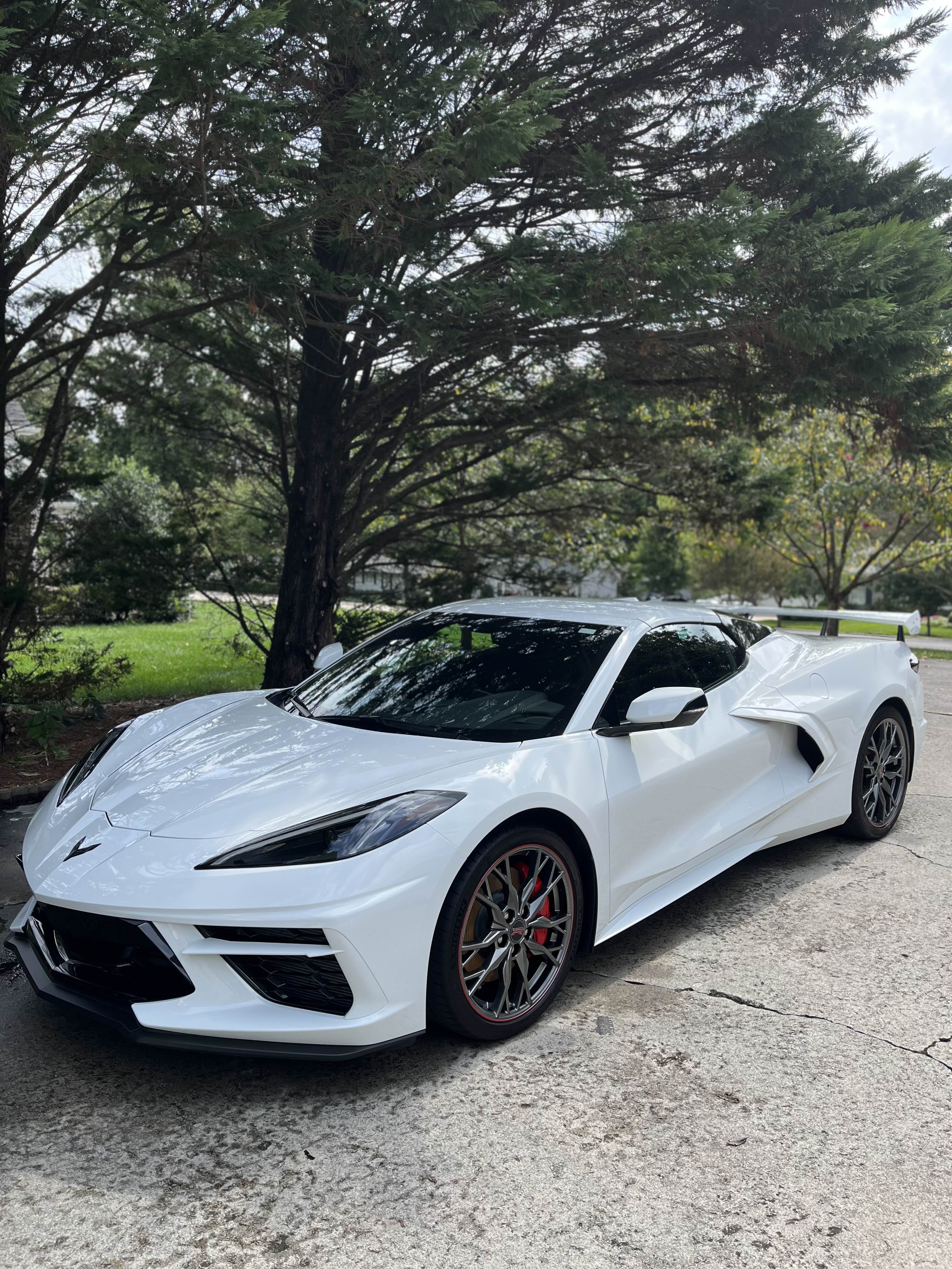 Professional Car Detailing