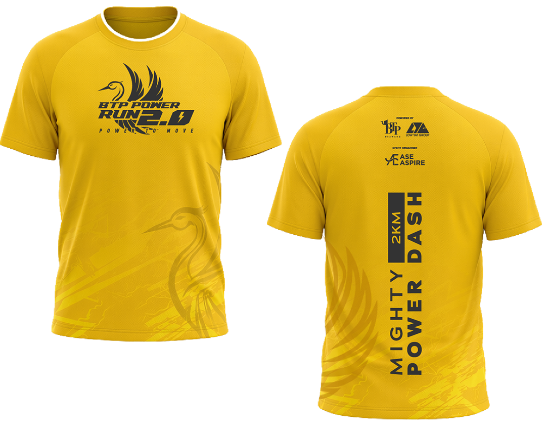 2KM Mighty Power Dash kit