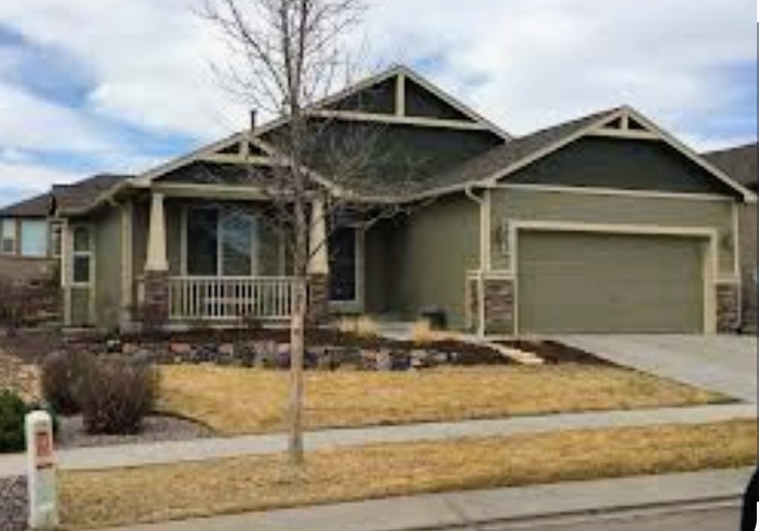 Olive green house exterior painting